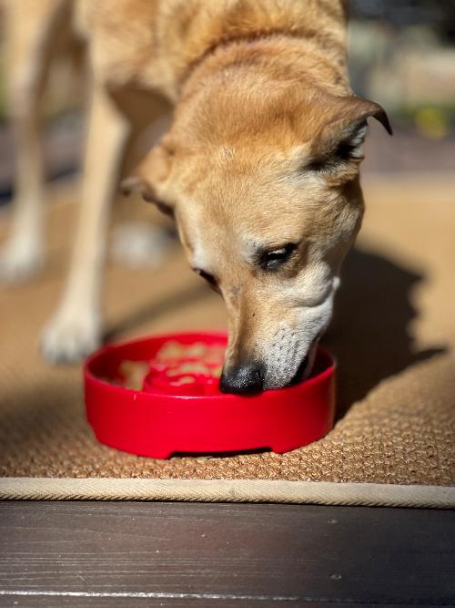 SodaPup Santa Christmas eBowl Deep Slow Feeder Dog Bowl Enrichment | USA Made