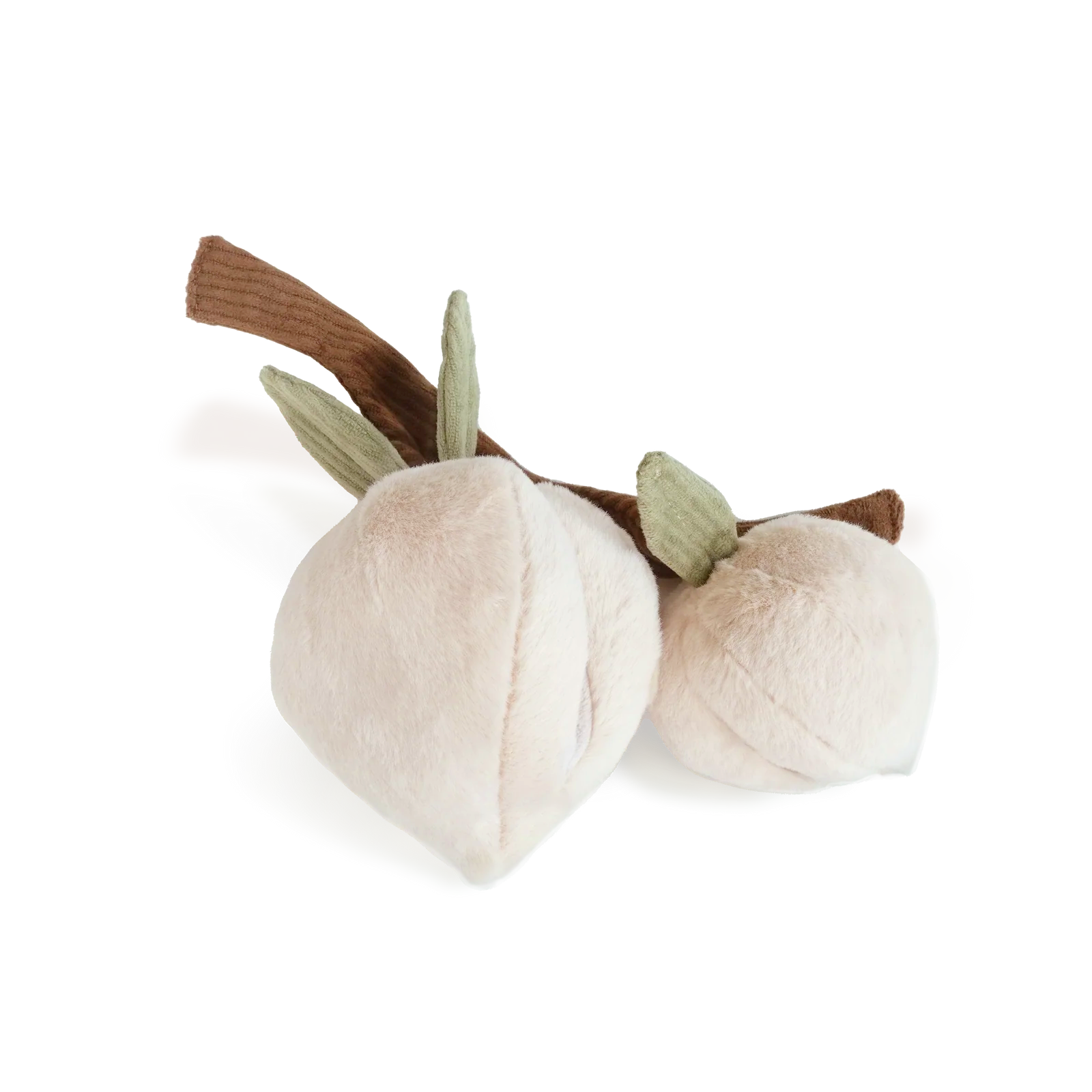 MOMO - Image 2
