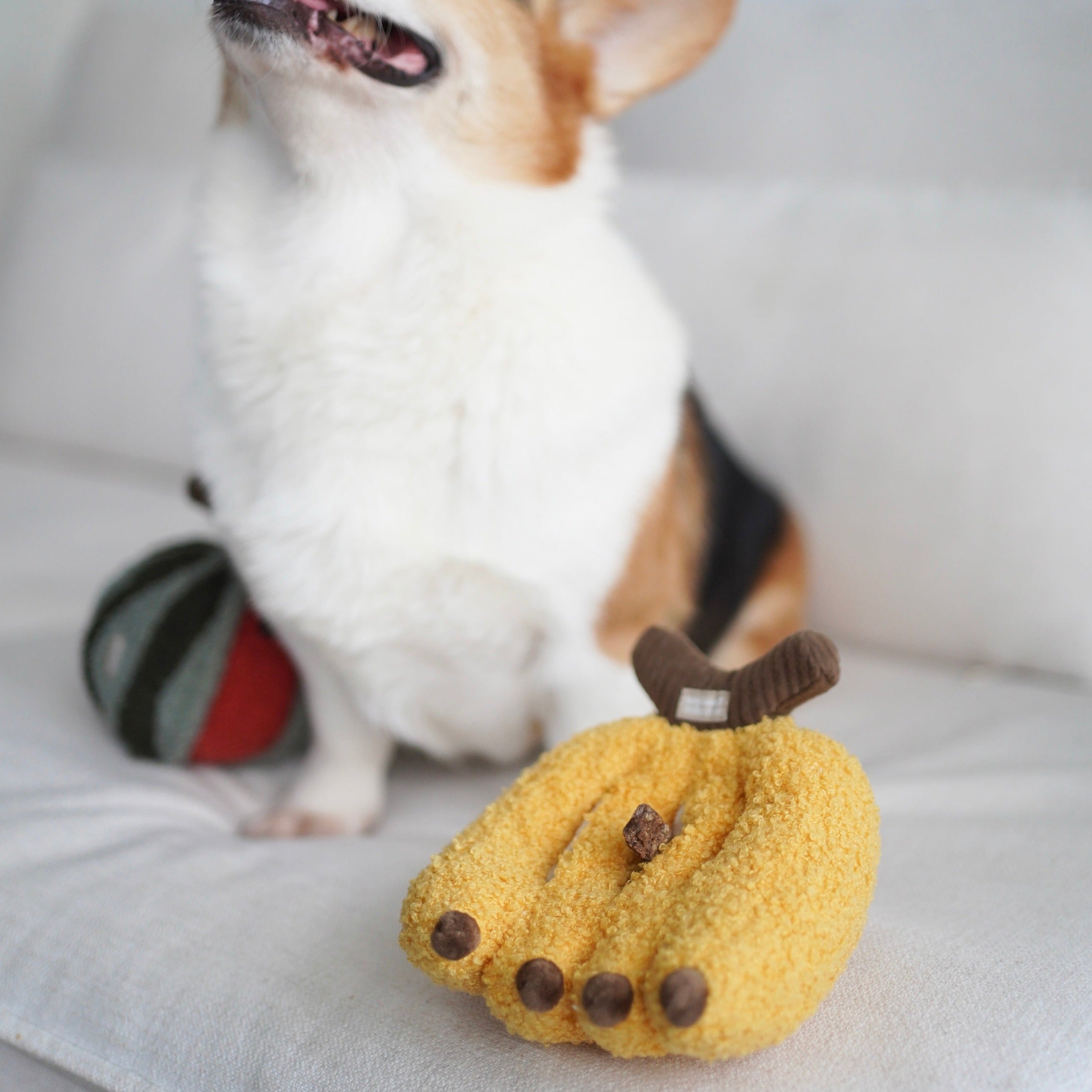 BANANA - Lambwolf Collective