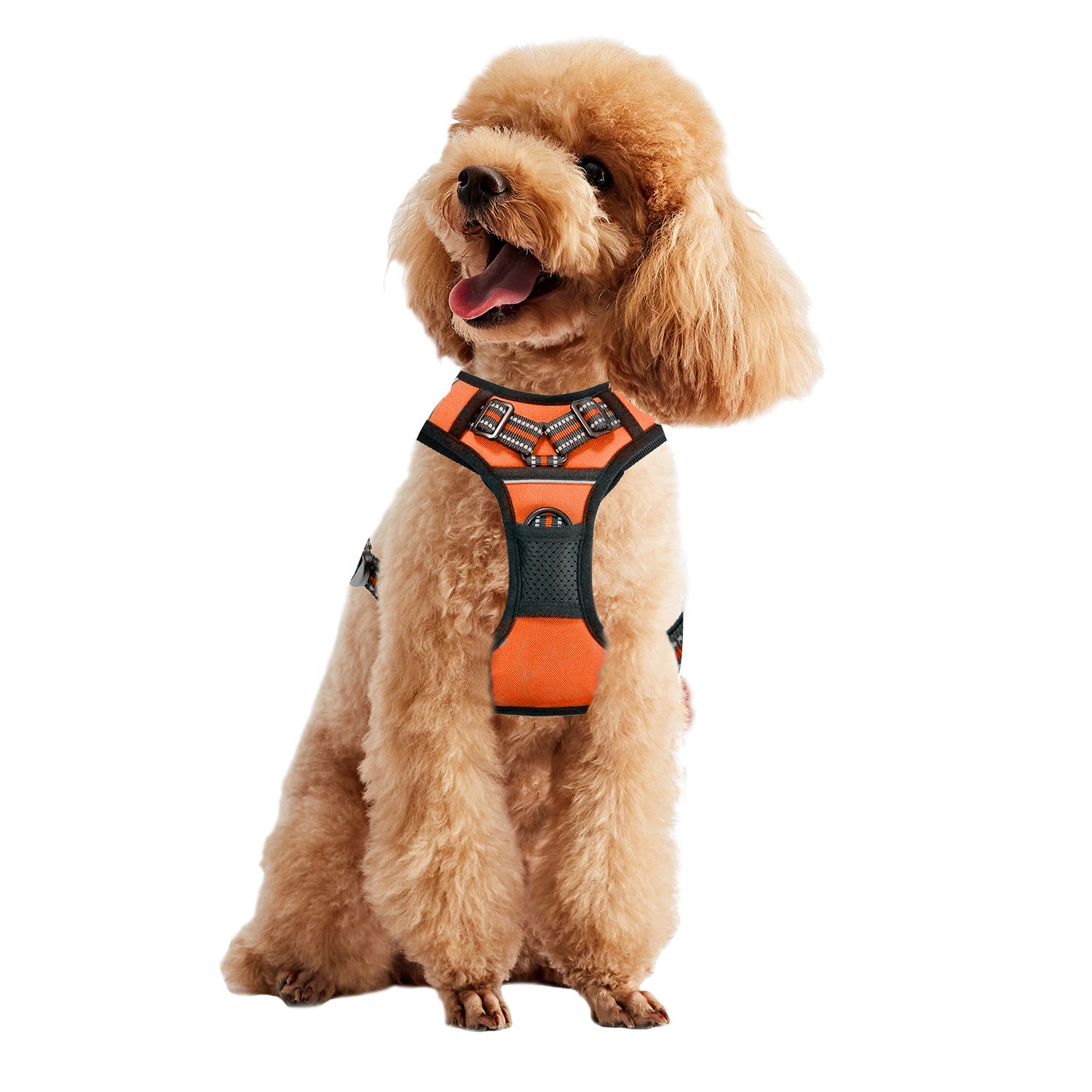 GOOPAWS Padded Reflective Pet Dog Harness, Lightweight Ripstop, Orange