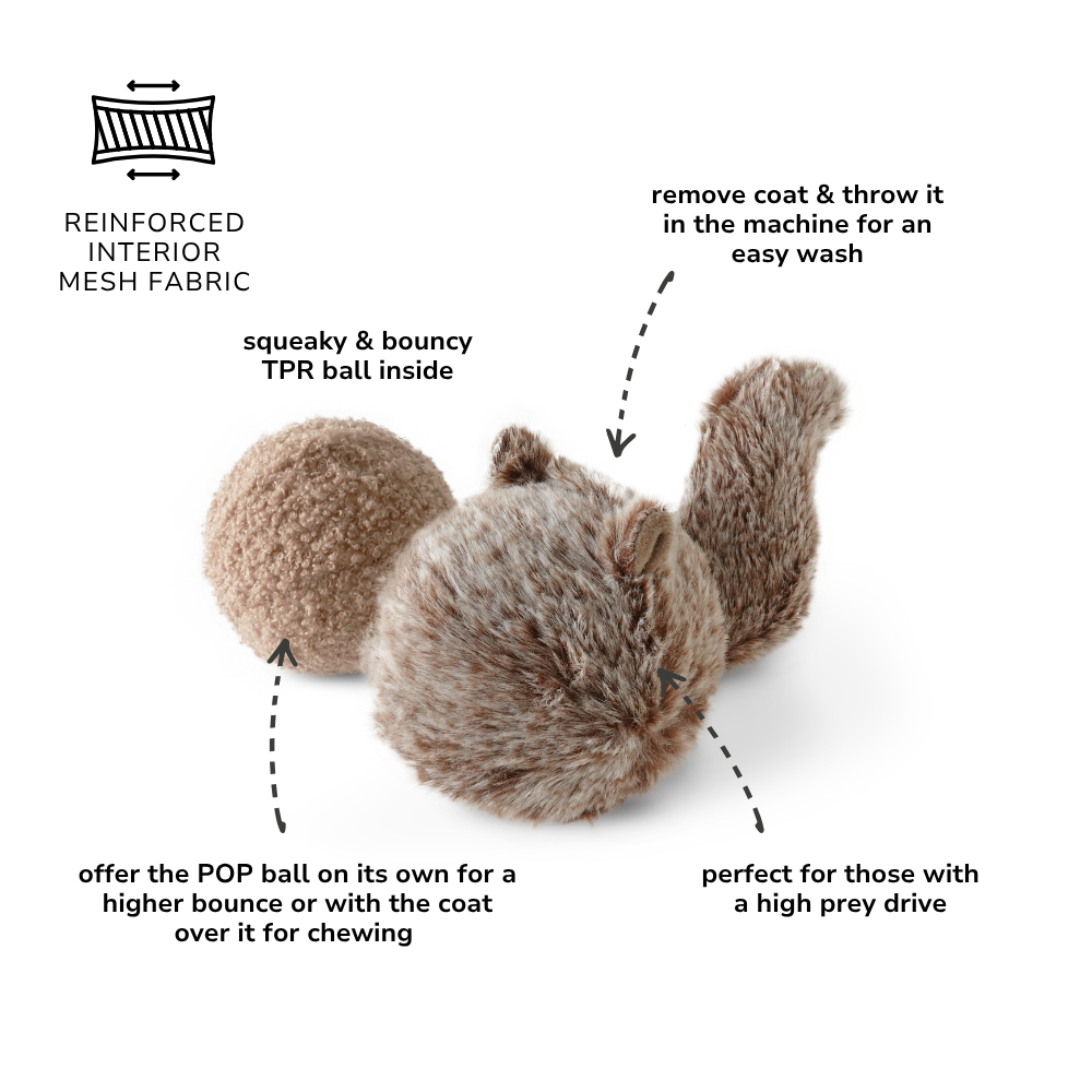 SQUIRREL POP - Image 5