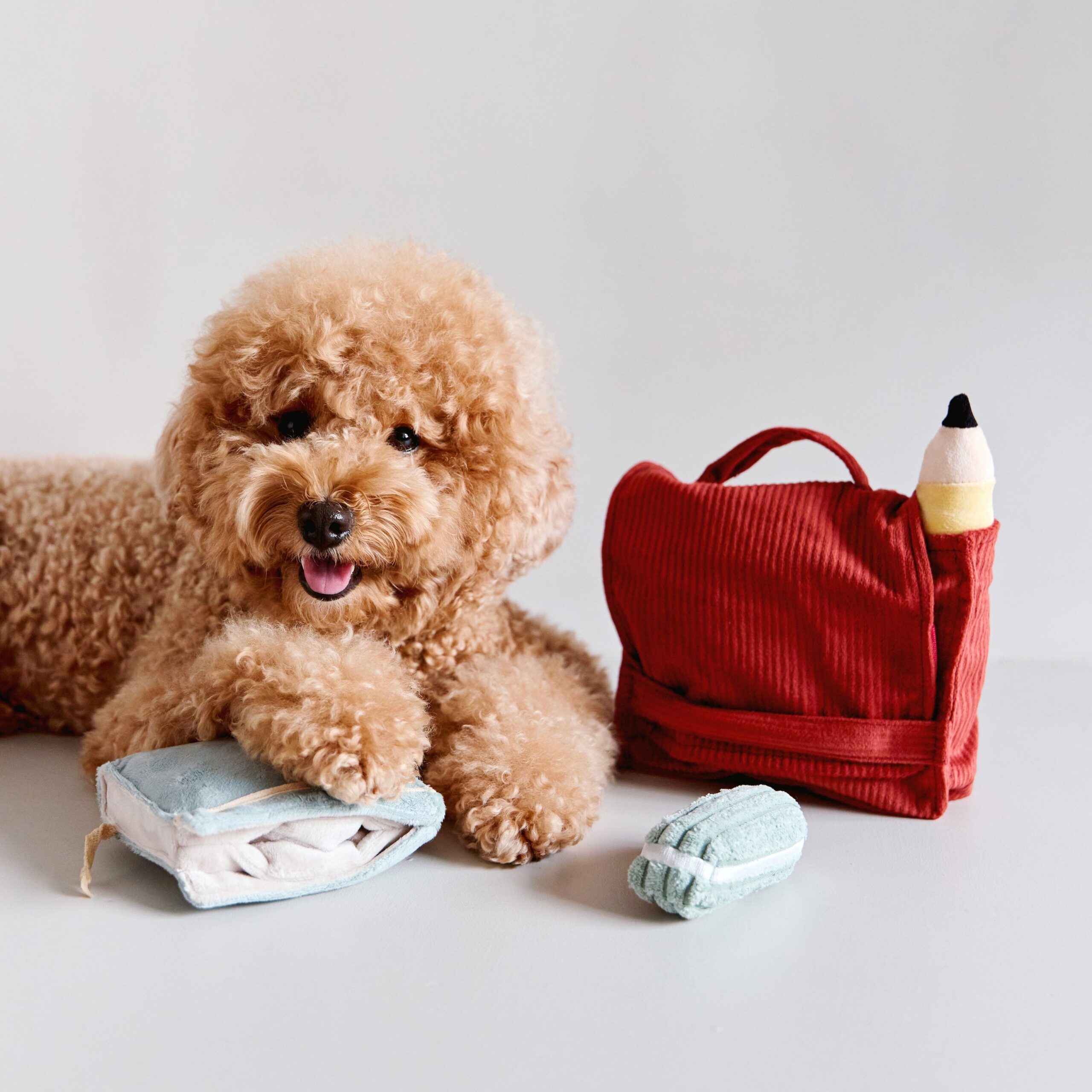 BACK TO SCHOOL - Image 14