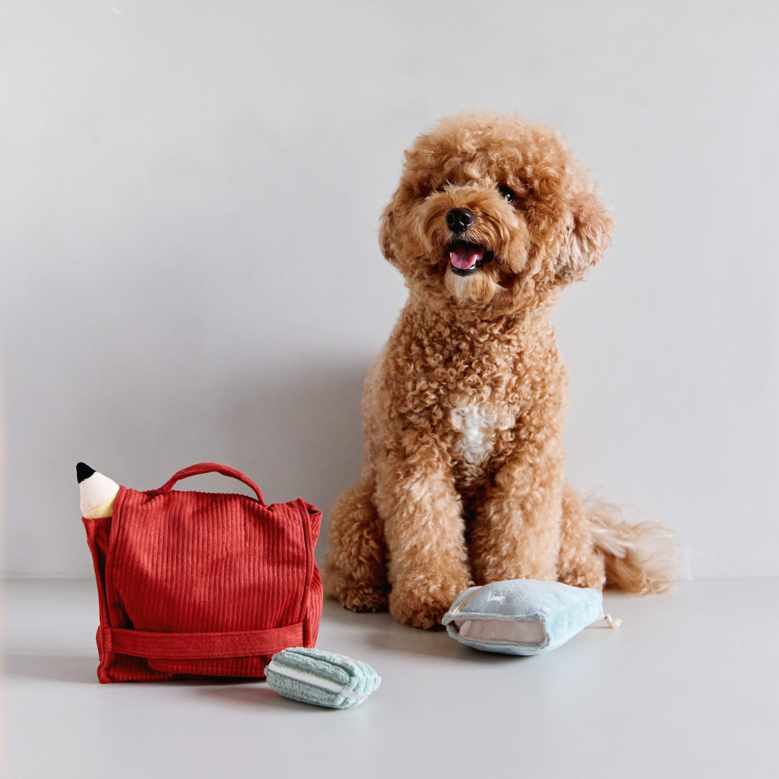 BACK TO SCHOOL - Image 15