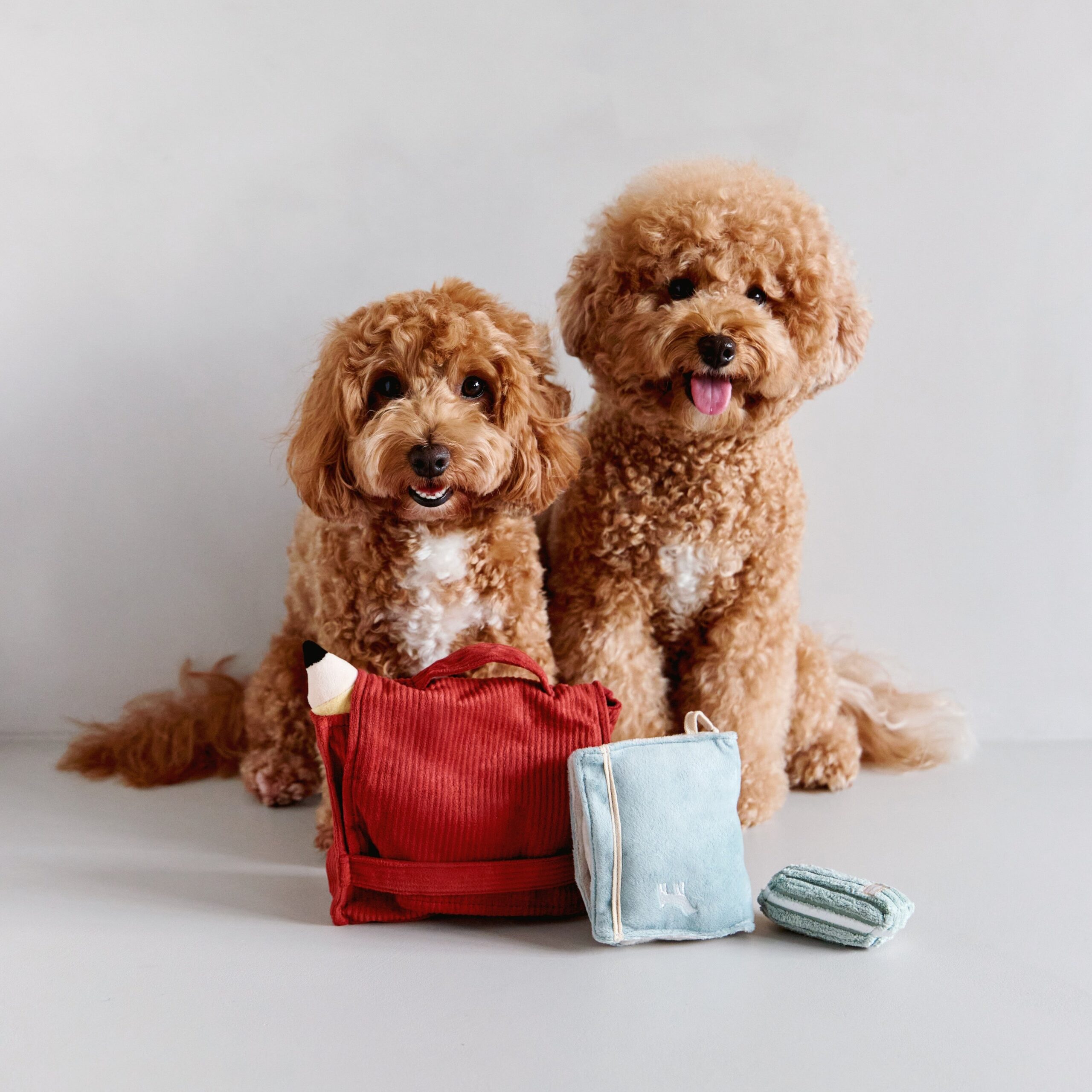 BACK TO SCHOOL - Image 16