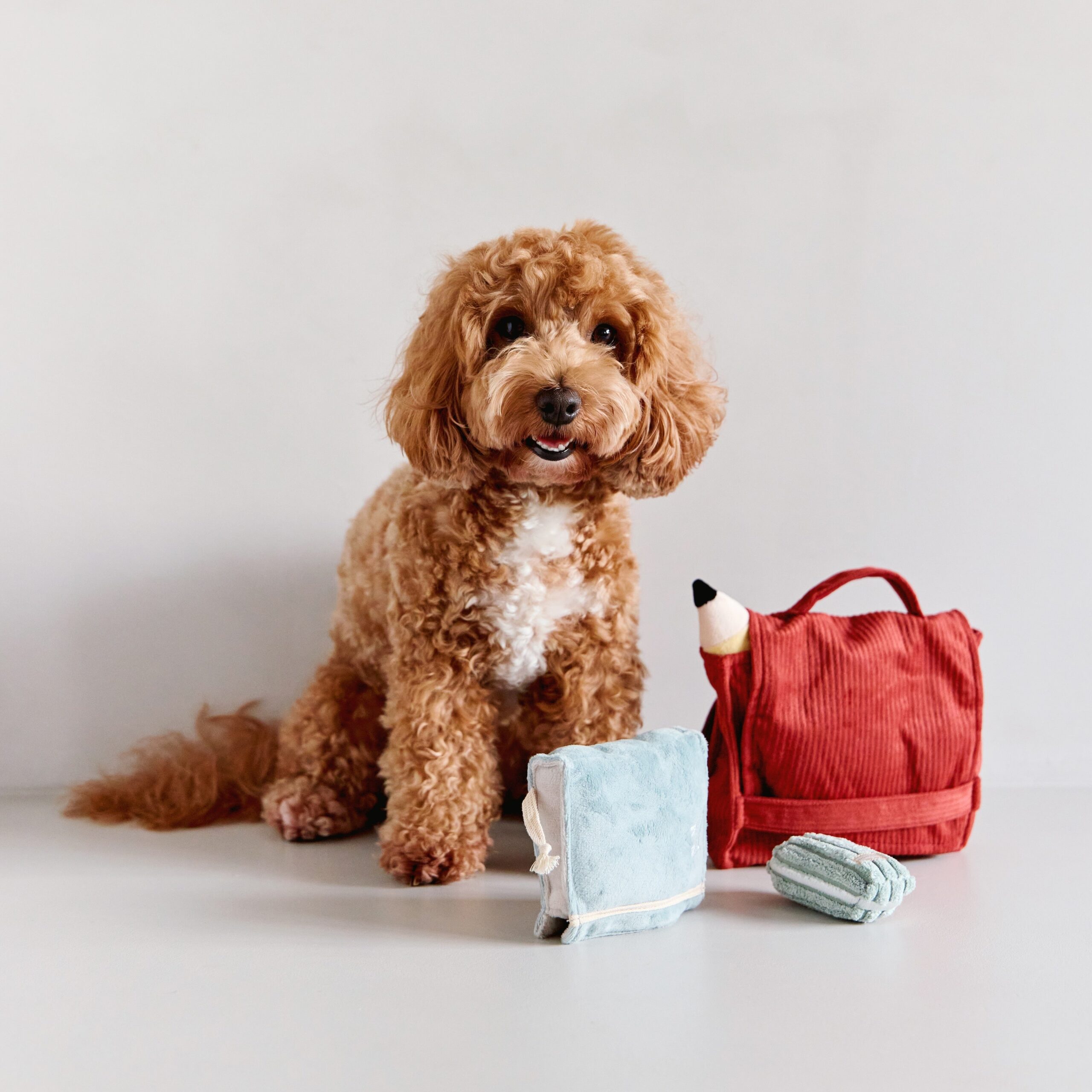 BACK TO SCHOOL - Image 17