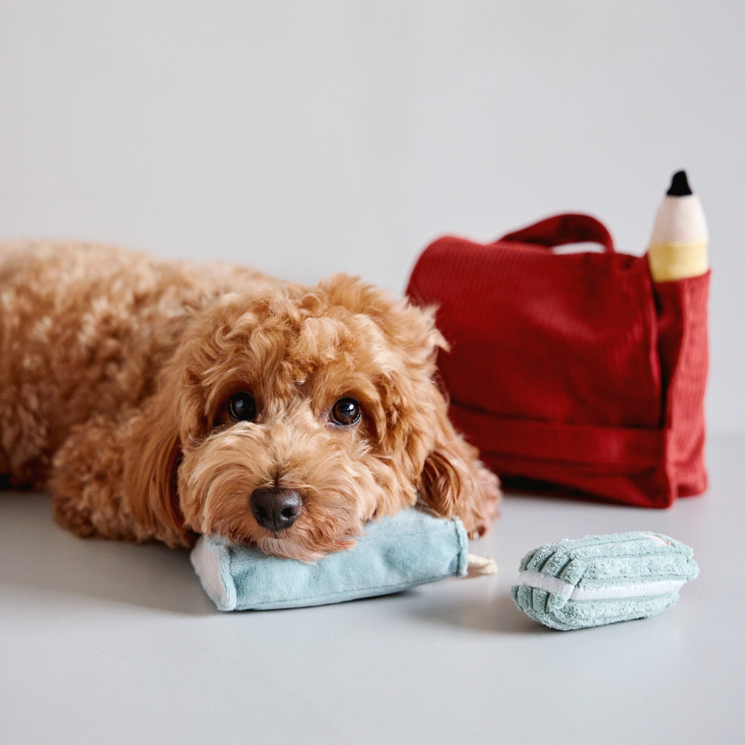 BACK TO SCHOOL - Image 18