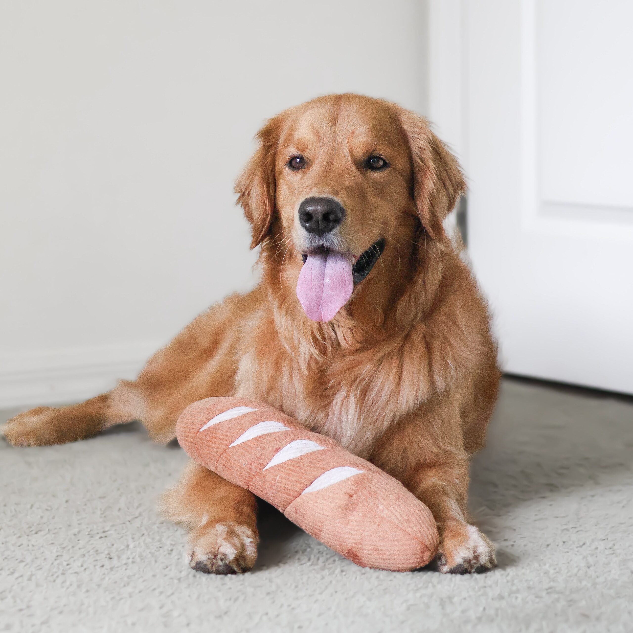BAGUETTE - Image 13
