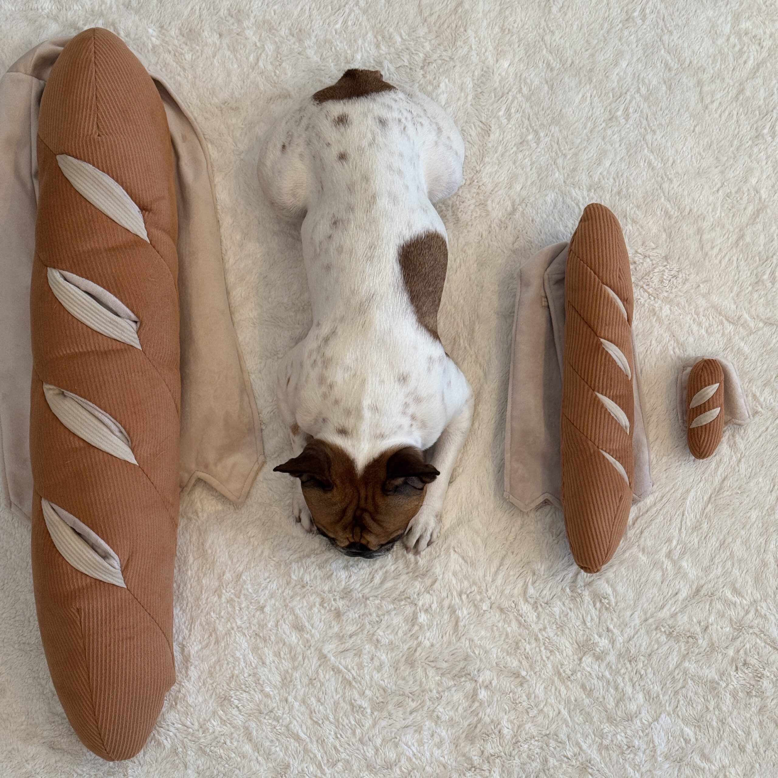 BAGUETTE - Lambwolf Collective