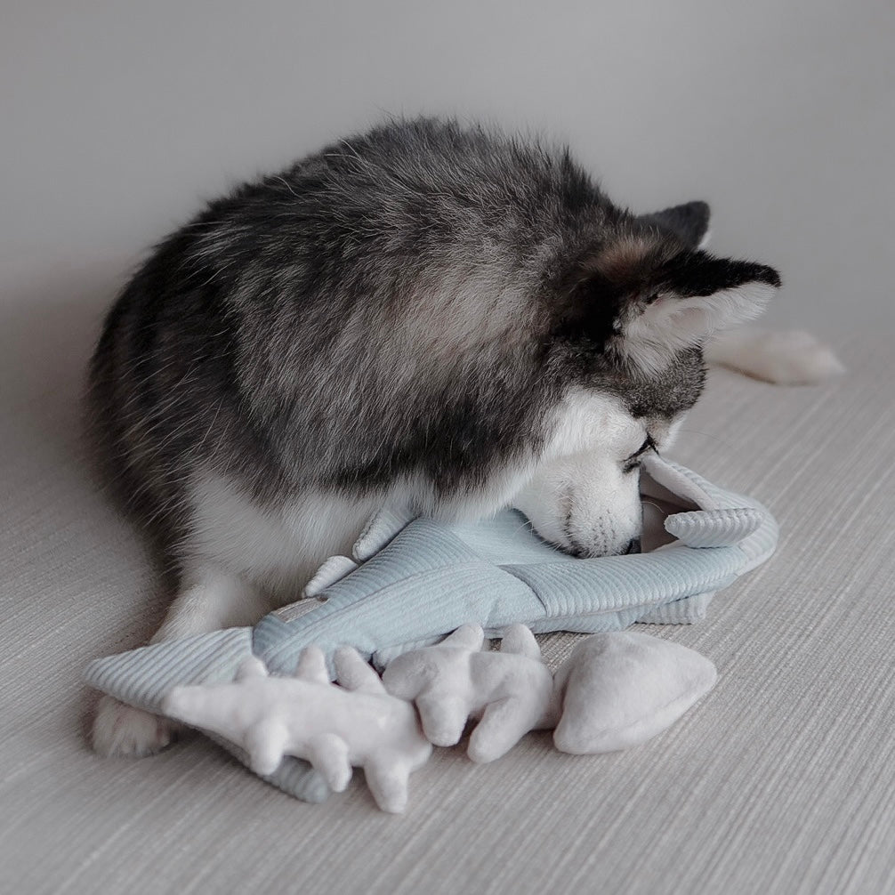 TROUT - Lambwolf Collective