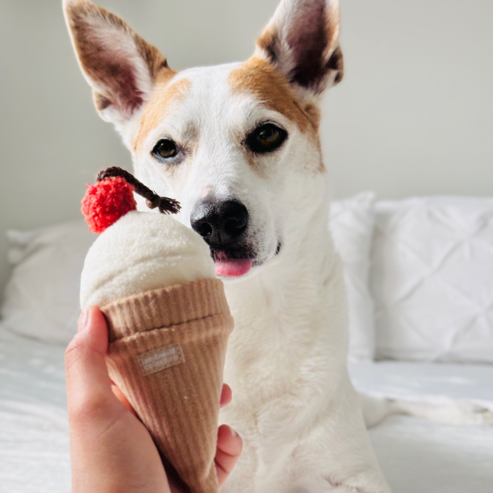 Ice Cream POP - Lambwolf Collective
