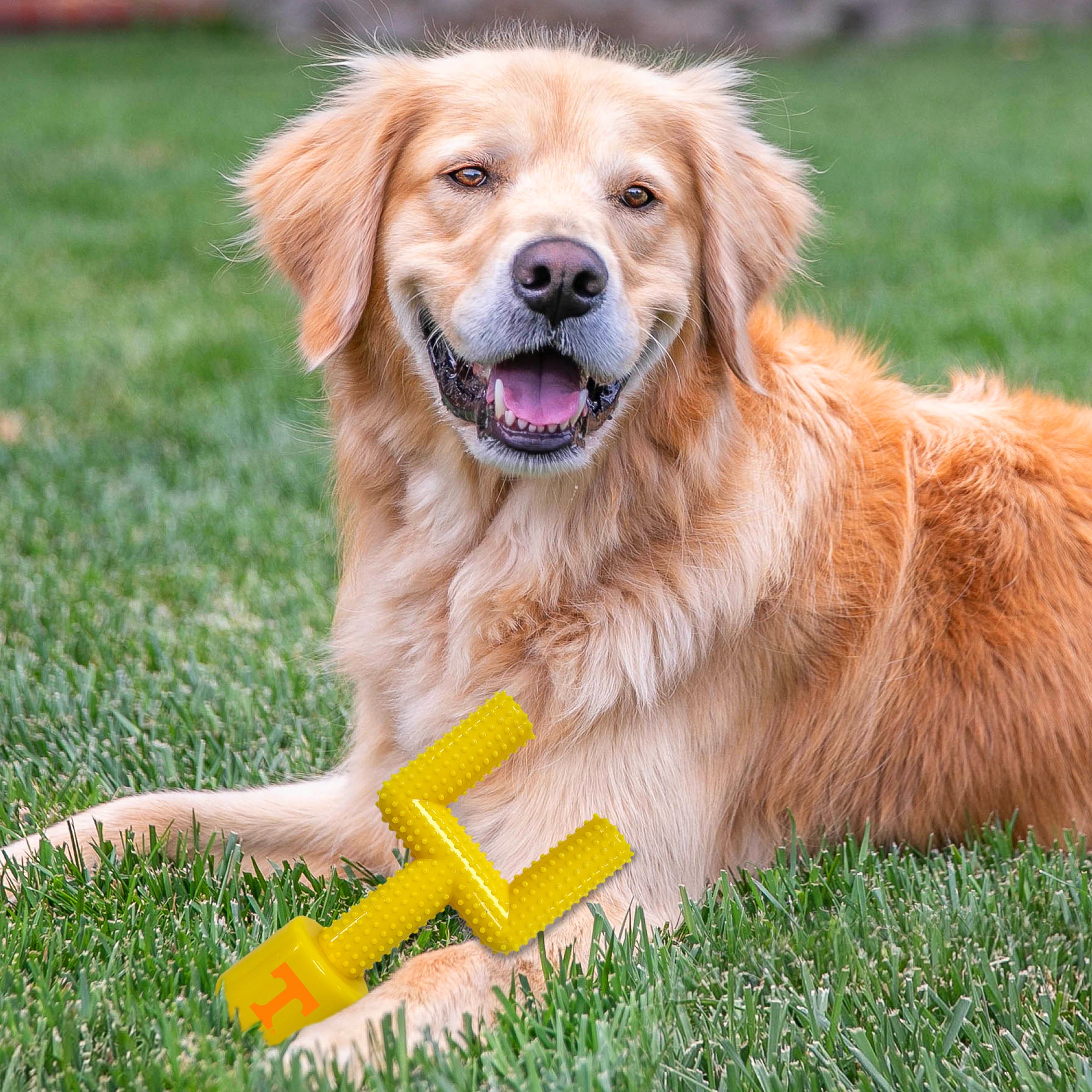 Tennessee Hard Nylon Goal Post Chew Toy - Image 2