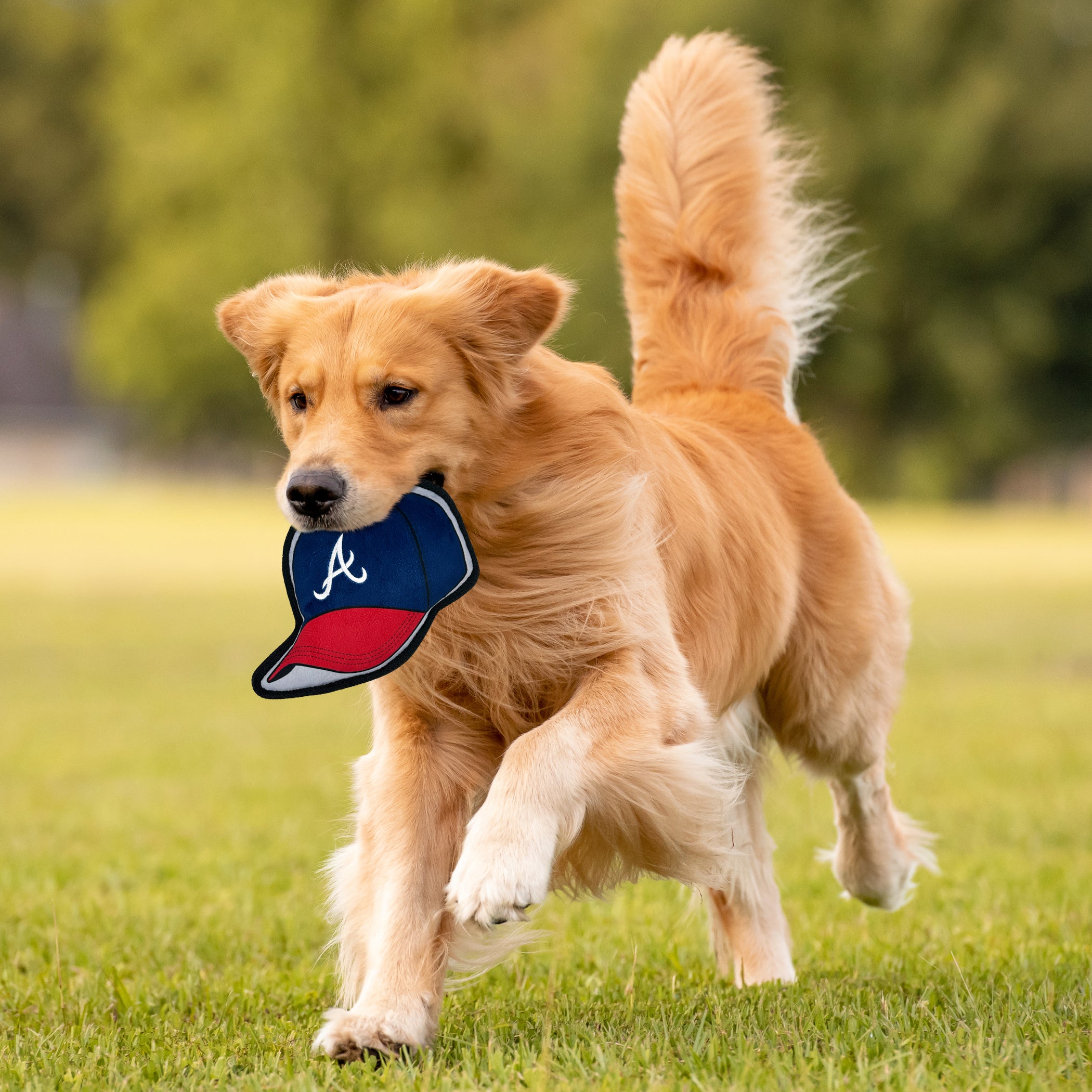 ATLANTA BRAVES BASEBALL CAP TOUGH TOY - Image 2