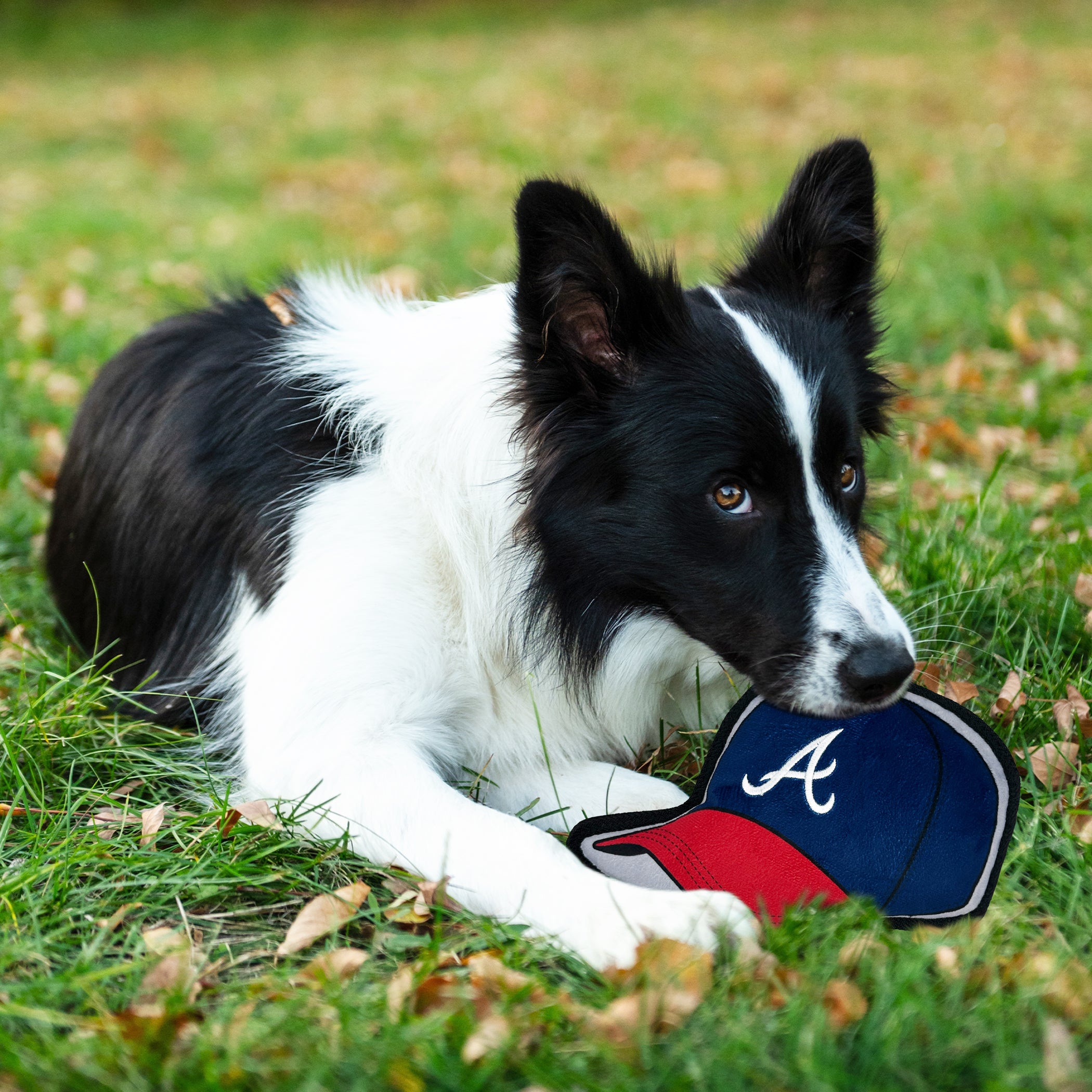 ATLANTA BRAVES BASEBALL CAP TOUGH TOY - Image 3