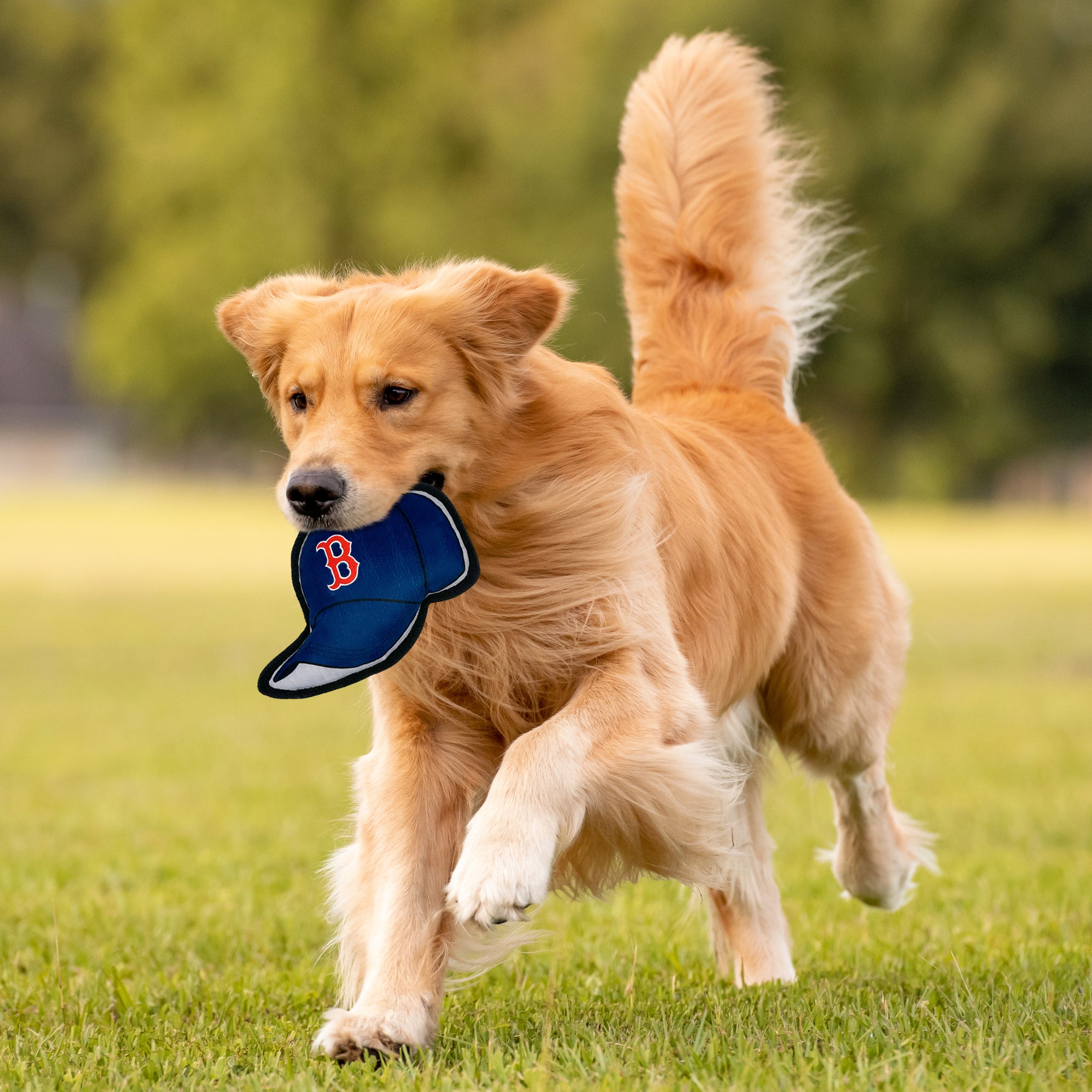 BOSTON RED SOX BASEBALL CAP TOUGH TOY - Image 2