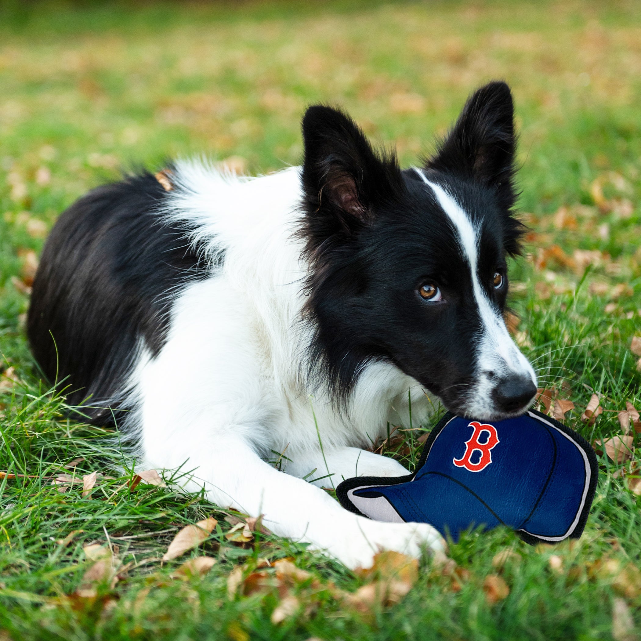 BOSTON RED SOX BASEBALL CAP TOUGH TOY - Image 3