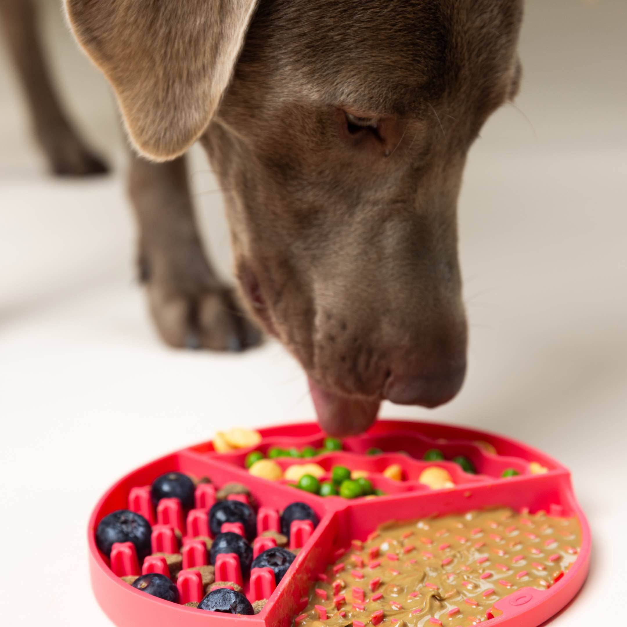 Green Dog & Cat Lick Mat | Pink Papyrus