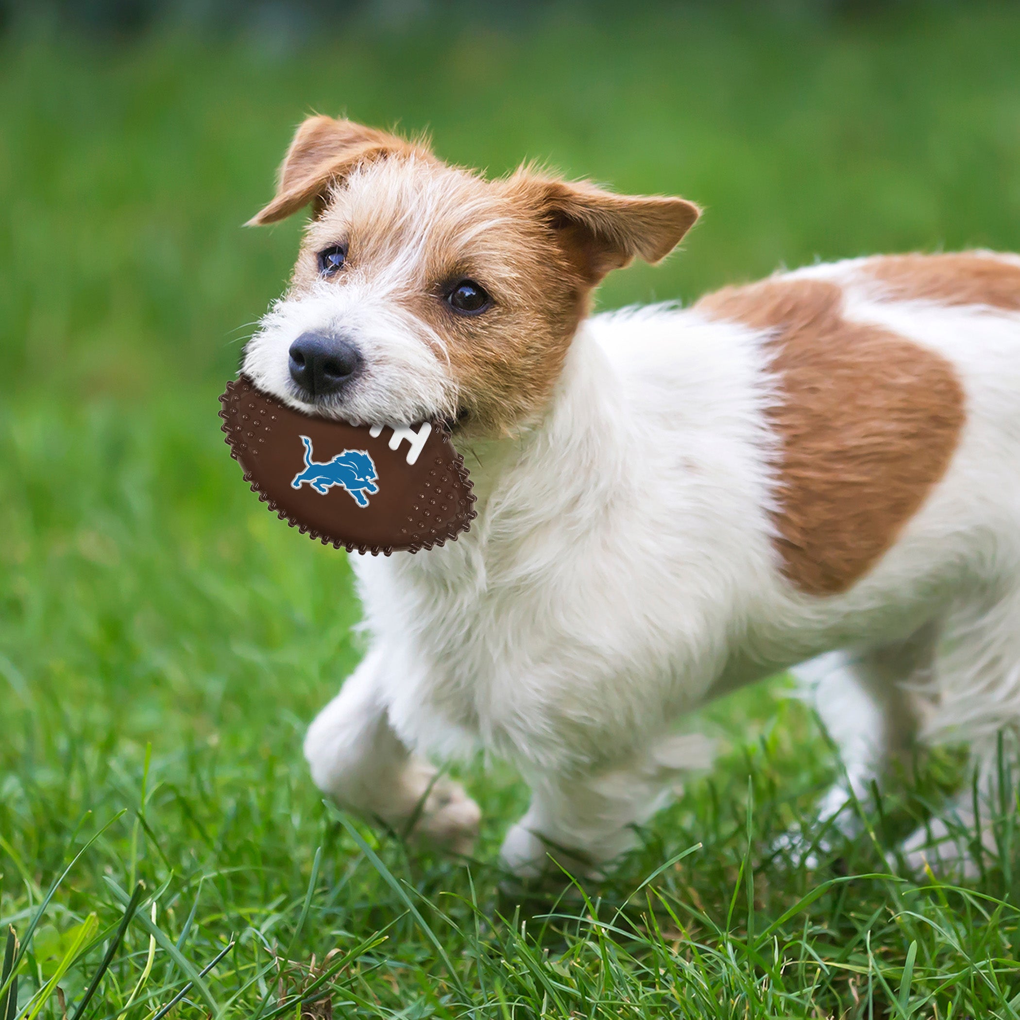 DETROIT LIONS HARD NYLON FOOTBALL CHEW TOY - Image 2