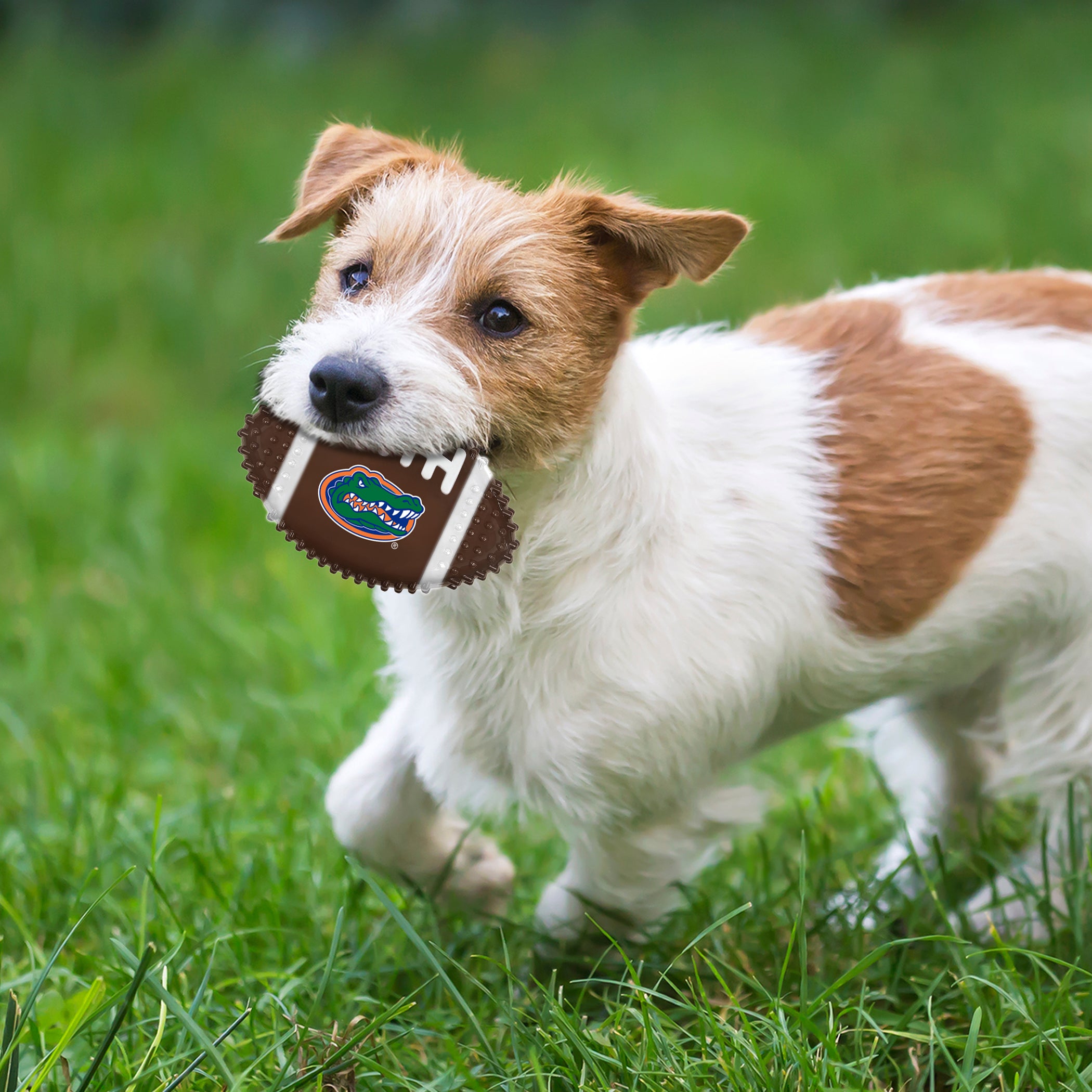 Florida Hard Nylon Football Chew Toy - Image 2