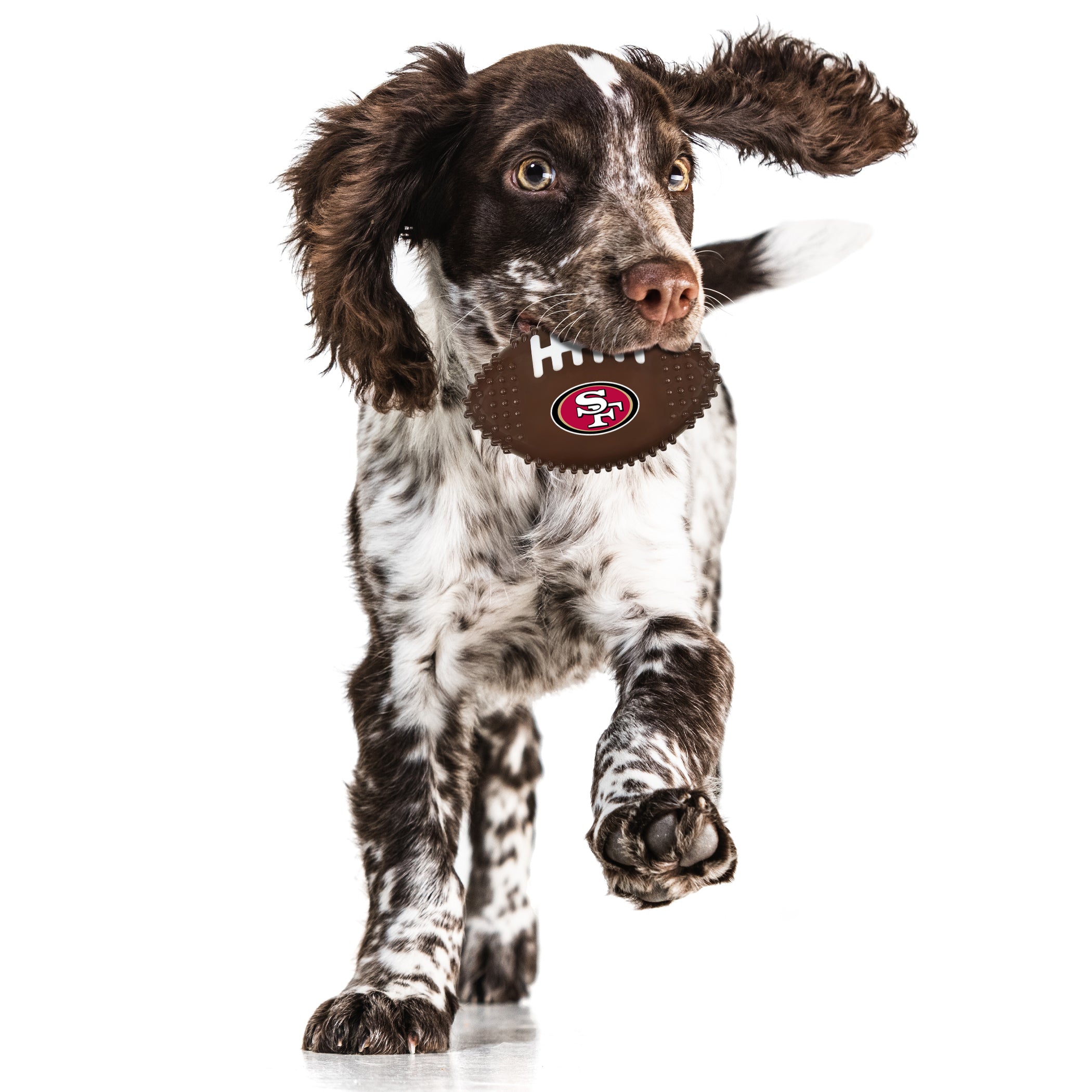 SAN FRANCISCO 49ERS HARD NYLON FOOTBALL CHEW TOY - Image 2