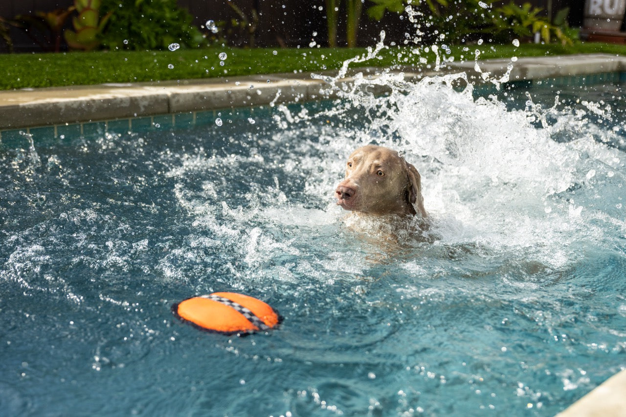 Katie's Bumpers™ - Frequent Flyer Floater - Image 9