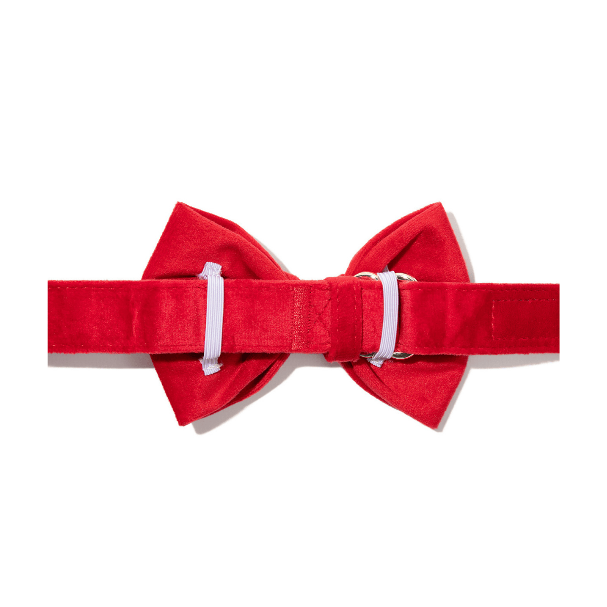 Blaze Bow Tie Dog Collar | Pink Papyrus