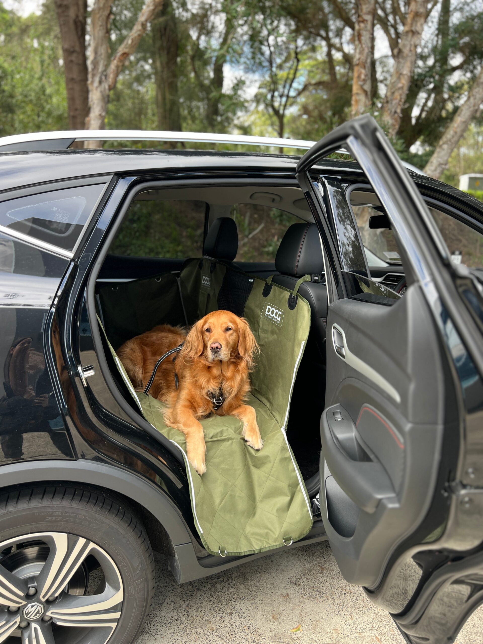 DOOG Car Seat Cover - BLACK
