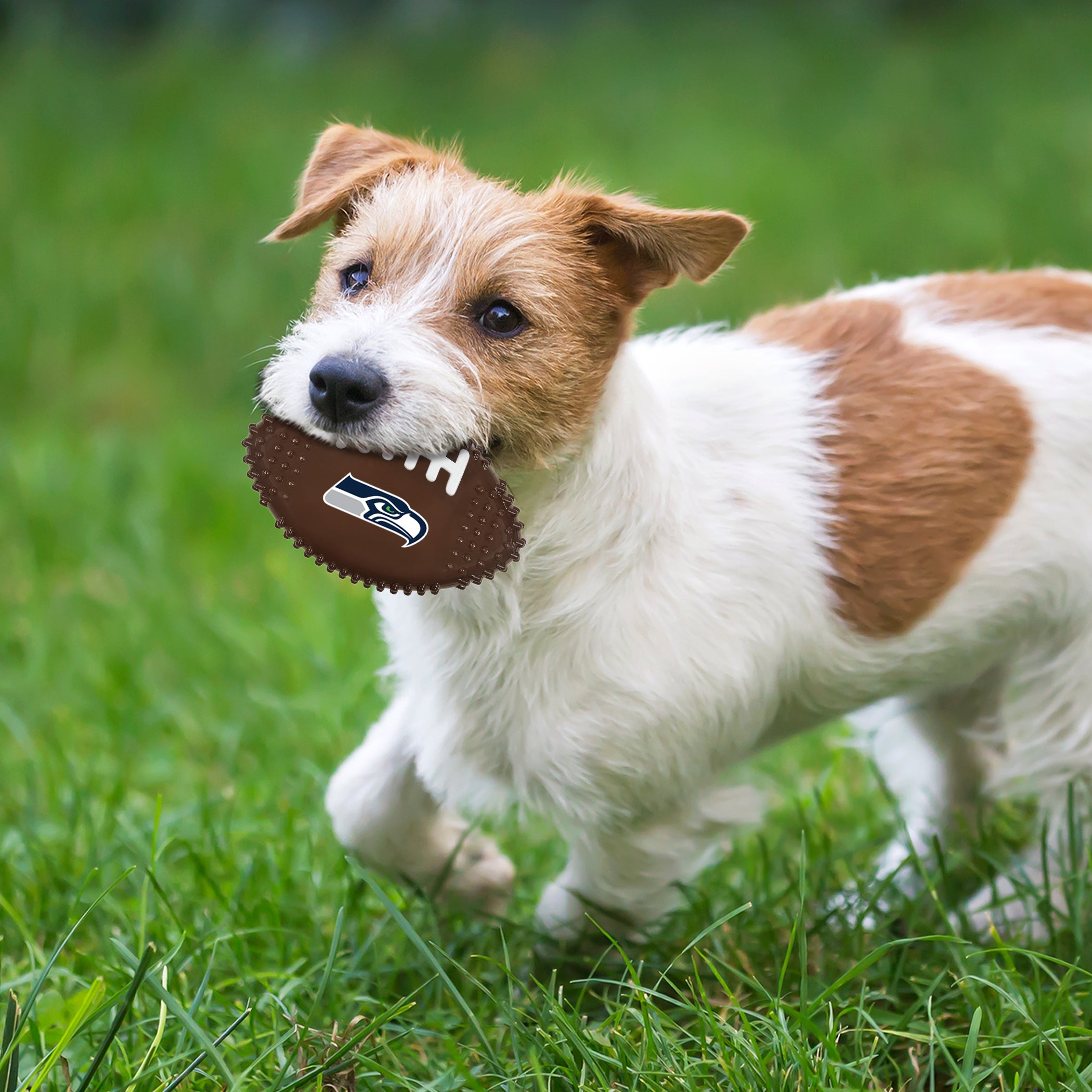 SEATTLE SEAHAWKS HARD NYLON FOOTBALL CHEW TOY - Image 2