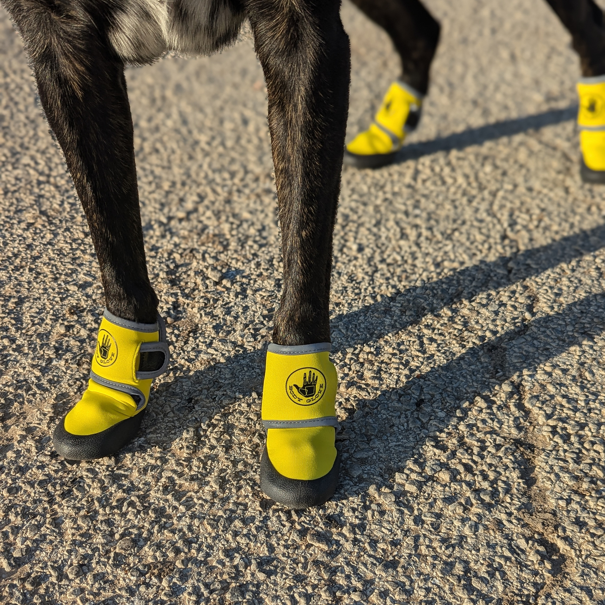 Body Glove Paw Protector Booties - Image 3
