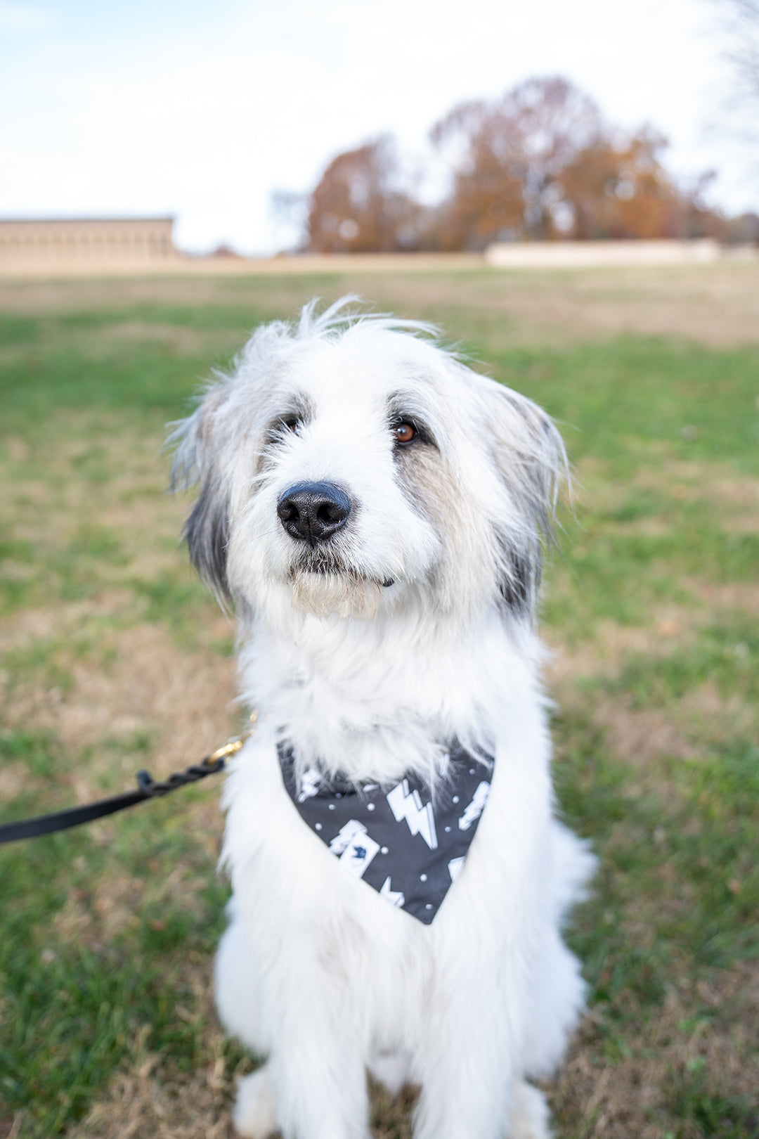 Lightning Double Sided Tie & Snap Dog Bandana