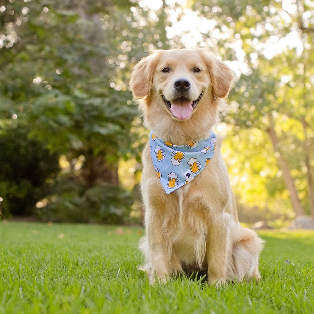 Drinking Brewery Beer Dog Bandana