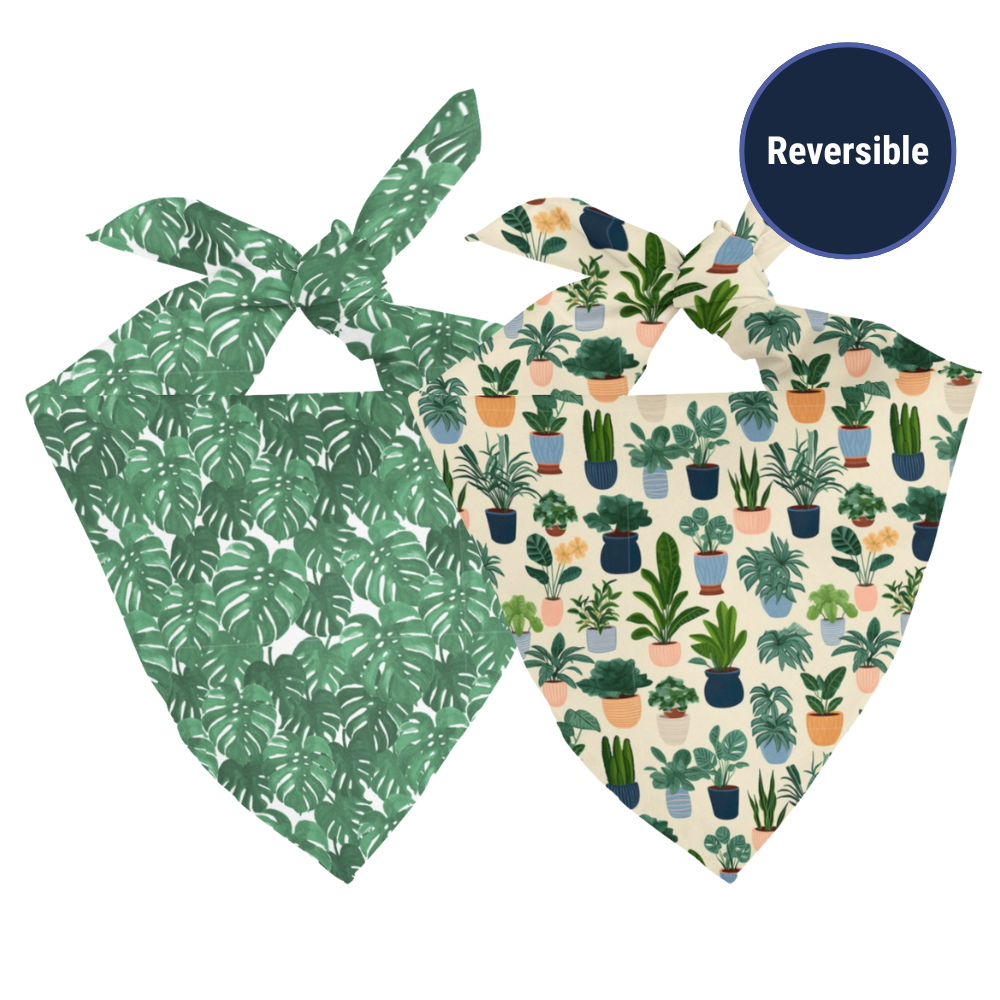 Double sided house plants bandana on a white background.