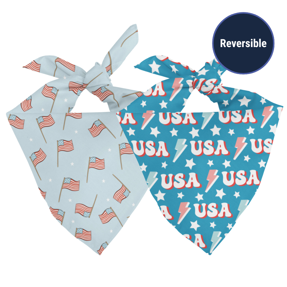 Double sided USA bandana on a white background