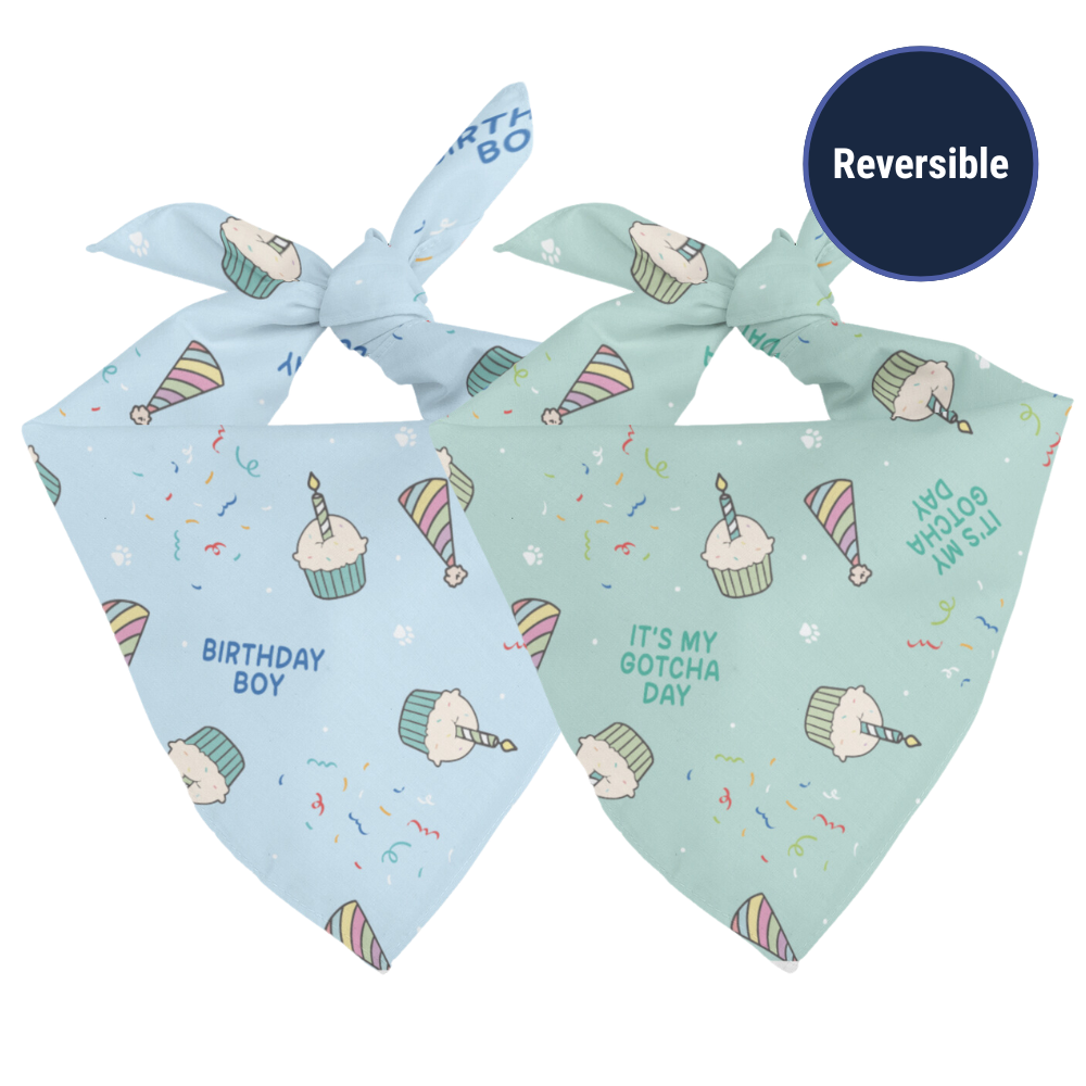 Double sided Birthday boy bandana on a white background.