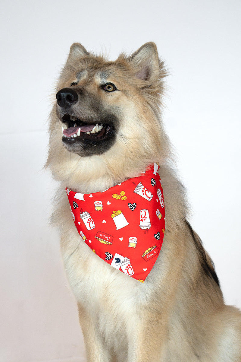 Chicken Nugget Double Sided Dog Bandana