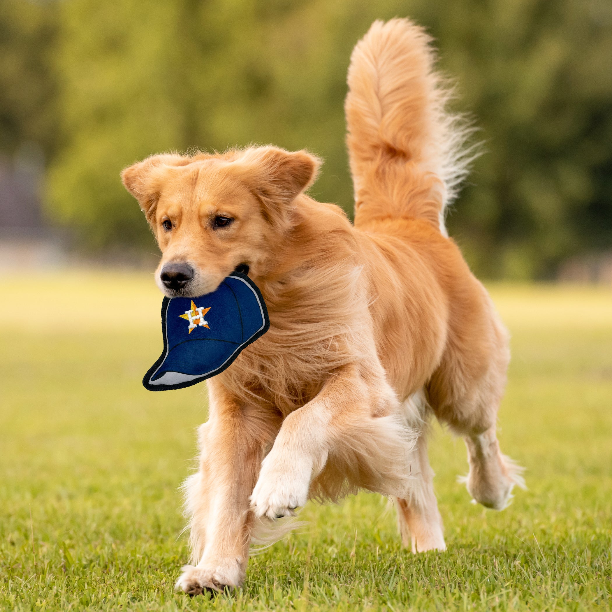 Houston Astros Baseball Cap Tough Toy - Image 2
