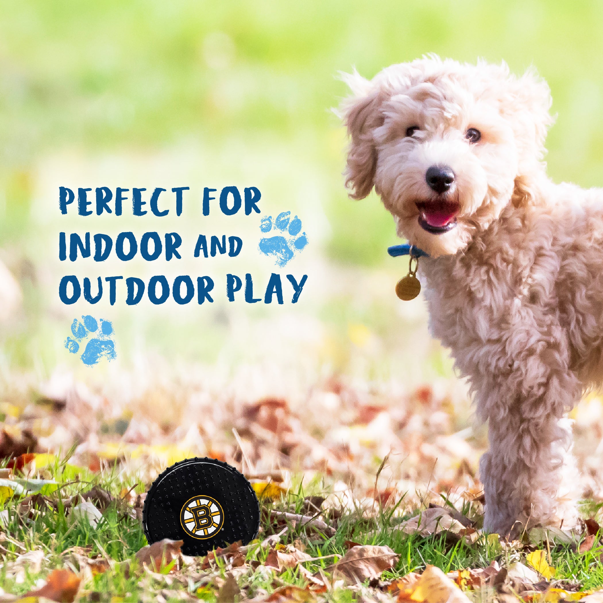 BOSTON BRUINS HARD NYLON HOCKEY PUCK CHEW TOY