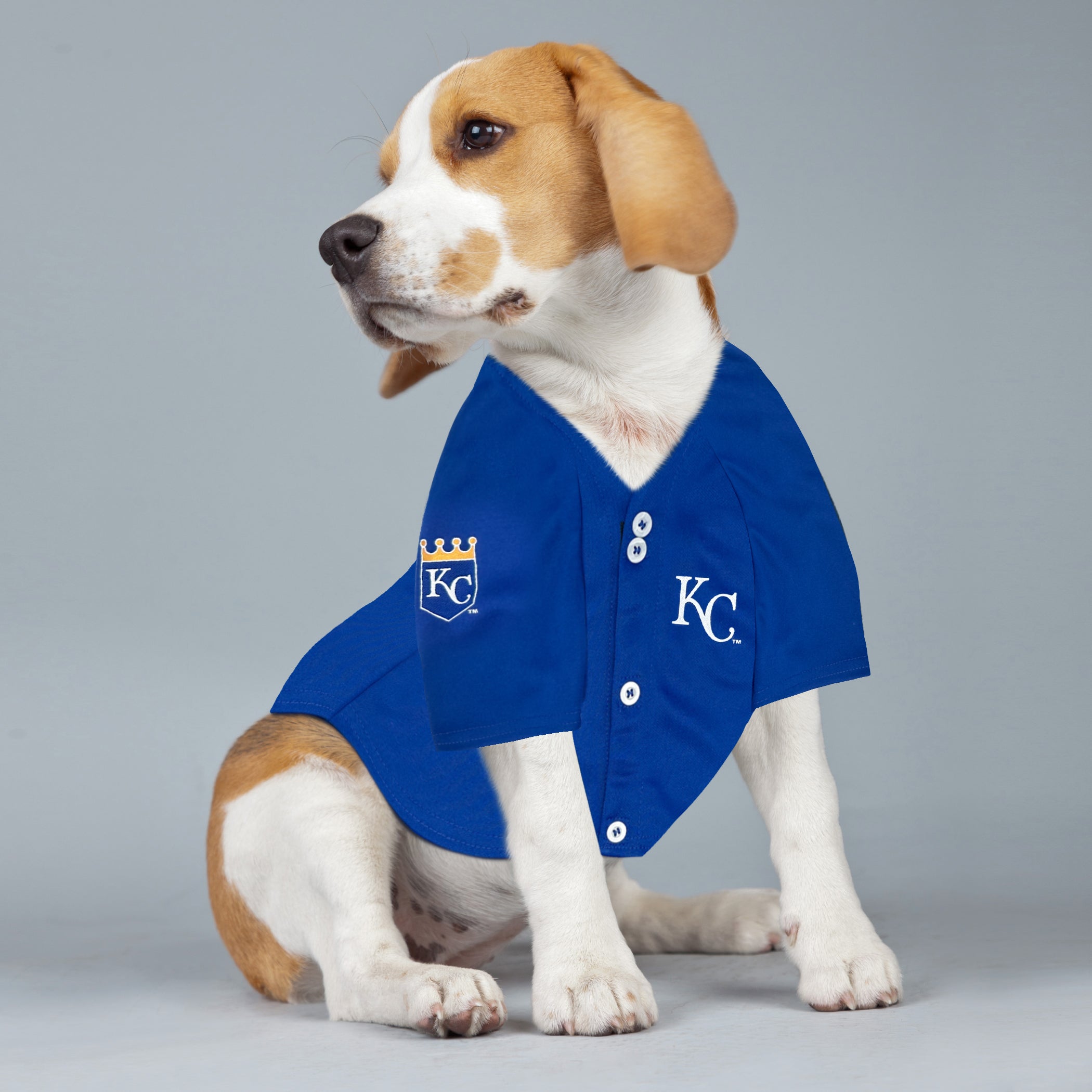 Bobby Witt Jr Player Jersey (ROY) - Image 4
