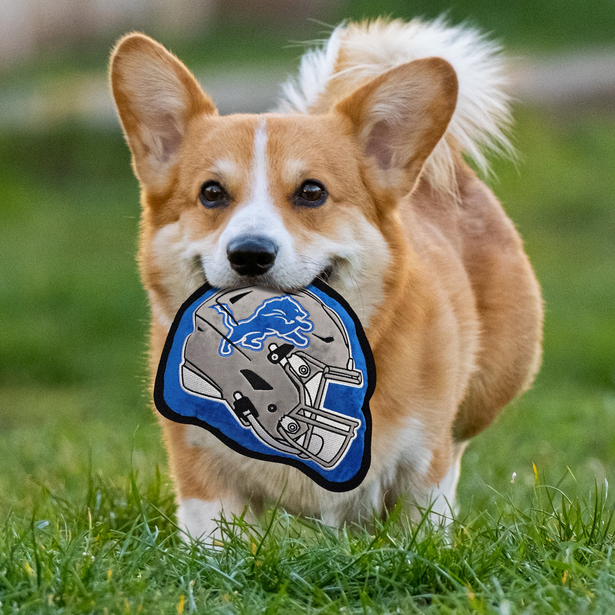 DETROIT LIONS HELMET TOUGH TOY - Image 3