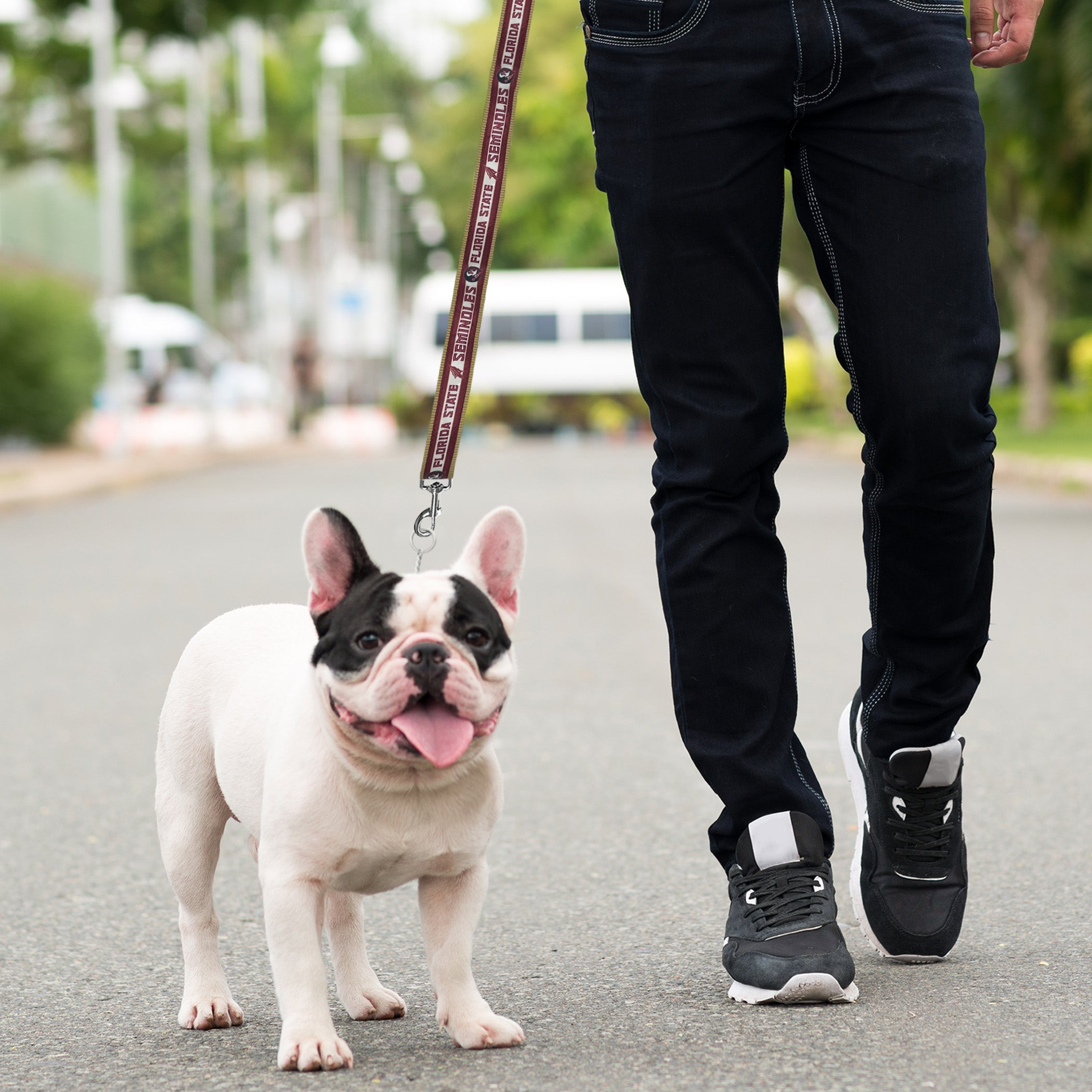 FLORIDA STATE SATIN LEASH - Image 3