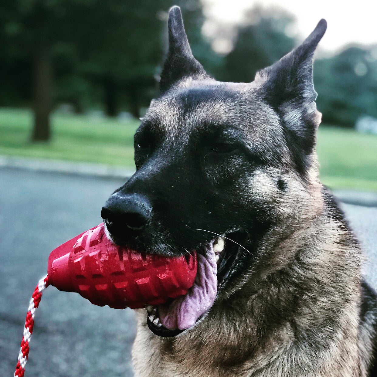SodaPup USA-K9 Grenade Shaped Rubber Dog Toy Chew, Treat Dispenser & Tug | USA Army Green