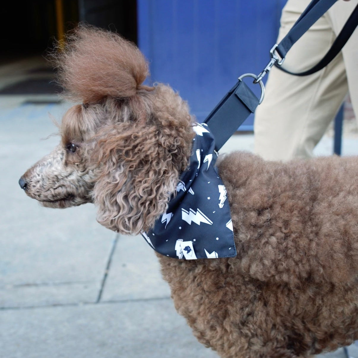 Lightning Double Sided Tie & Snap Dog Bandana