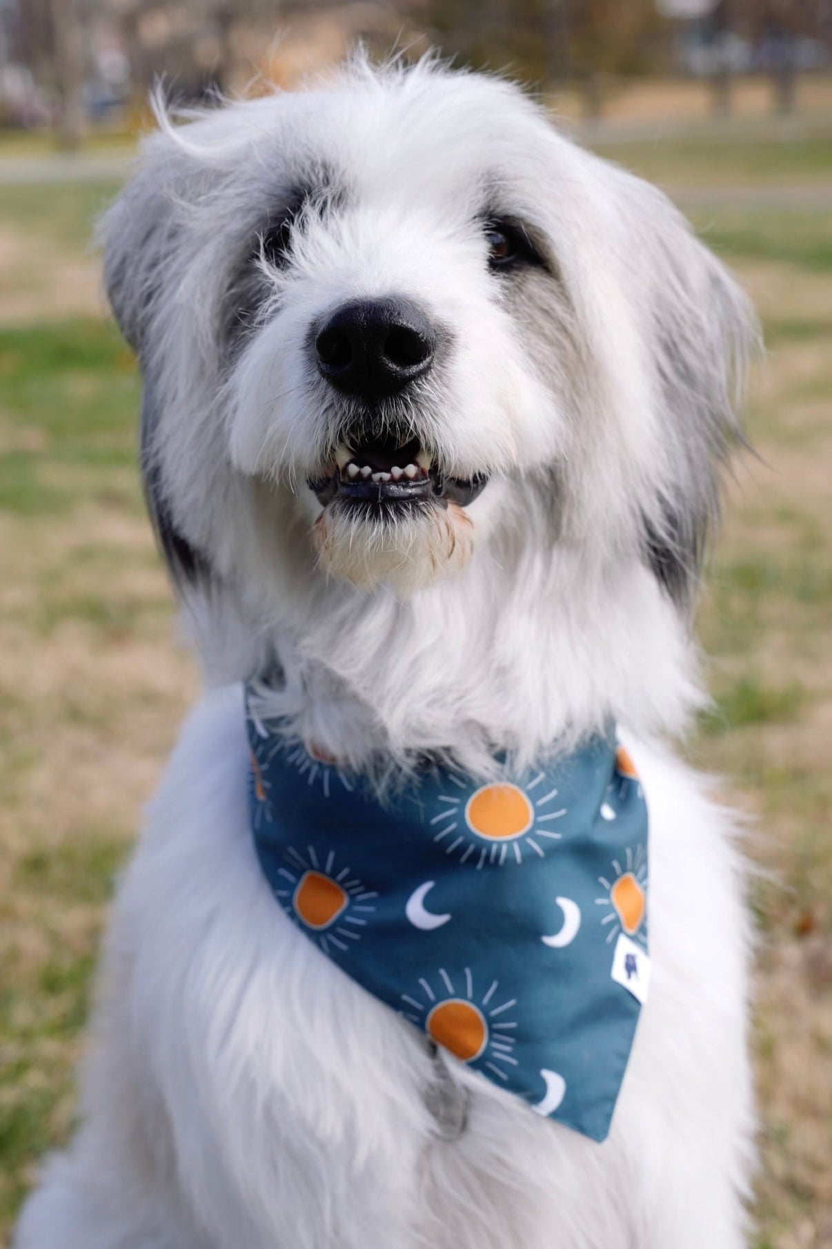 Blue Moon Double Sided Tie & Snap Dog Bandana