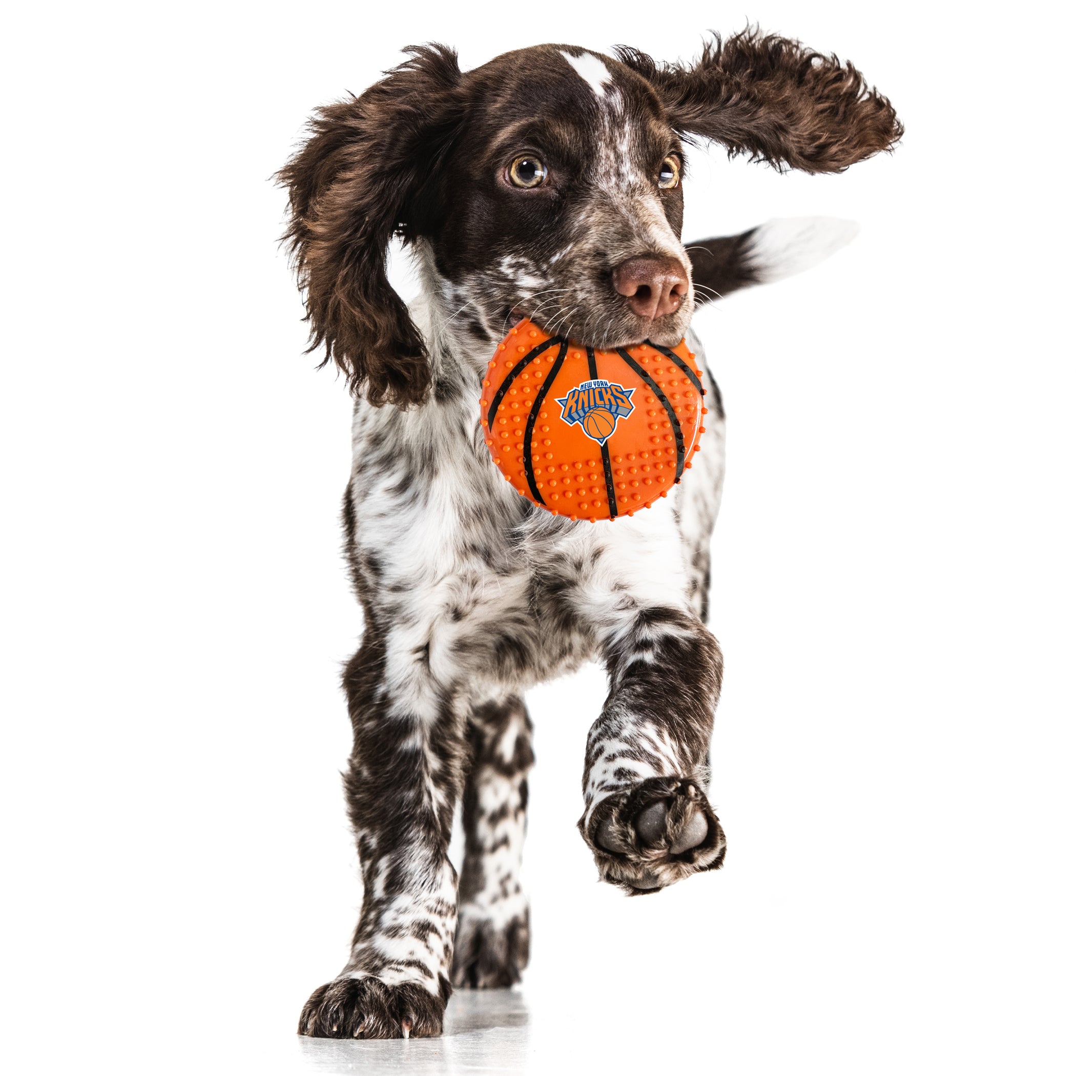 NY KNICKS HARD NYLON BASKETBALL CHEW TOY - Image 2