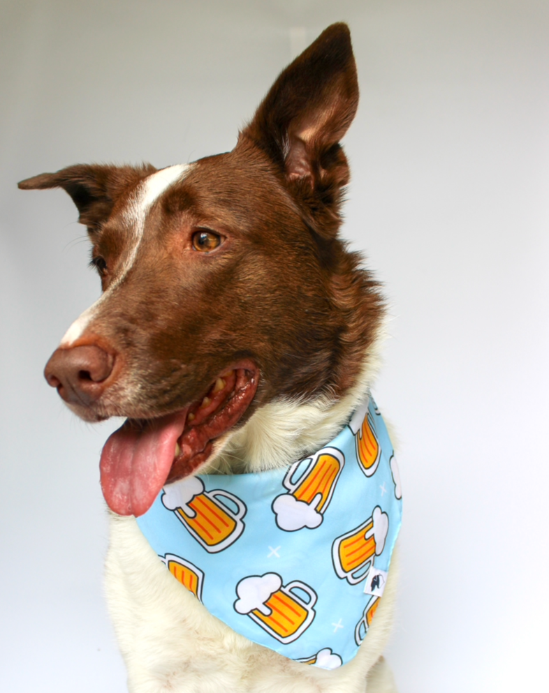 Drinking Brewery Beer Dog Bandana