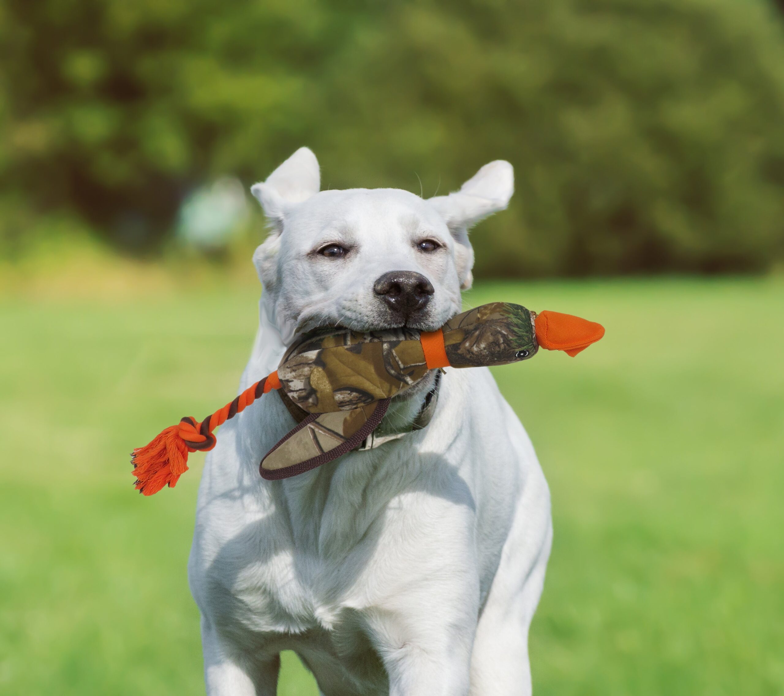 REALTREE MALLARD SLINGSHOT TOY - Image 2
