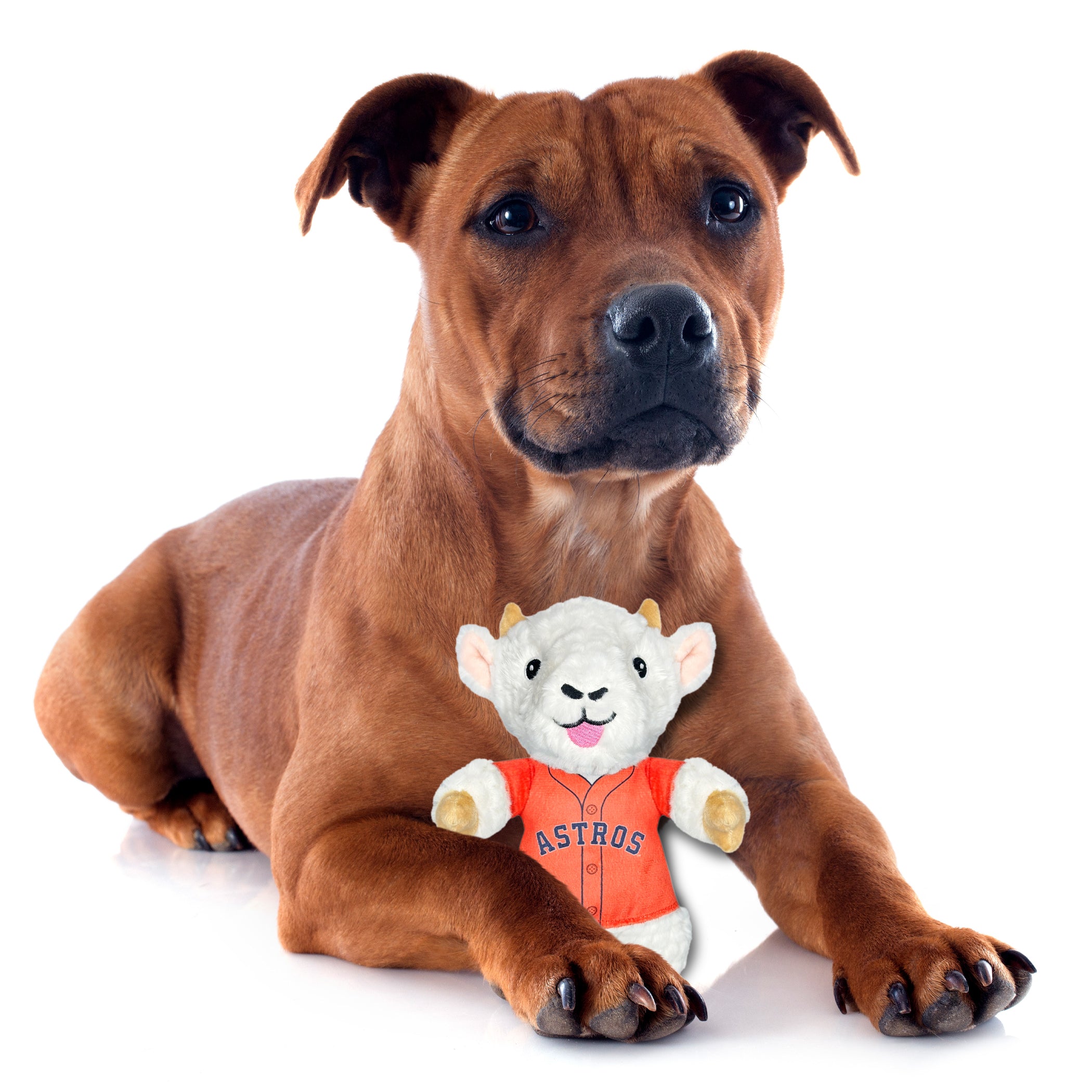Houston Astros Plush Goat Toy - Image 3