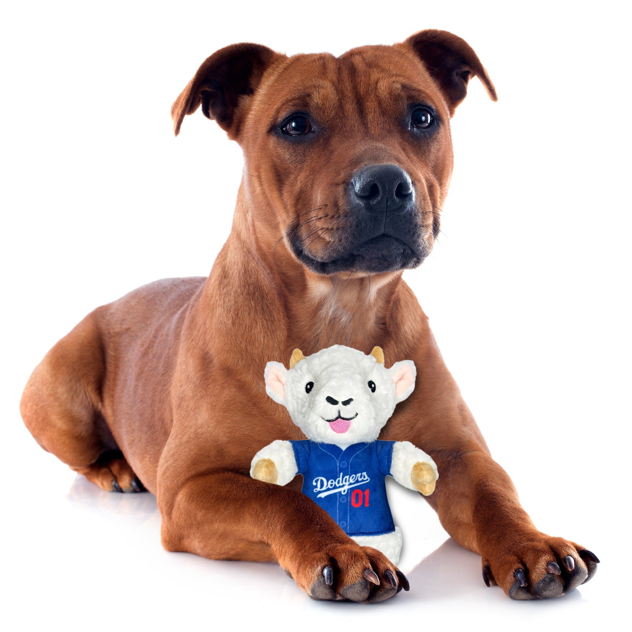 Los Angeles Dodgers Plush Goat Toy - Image 3