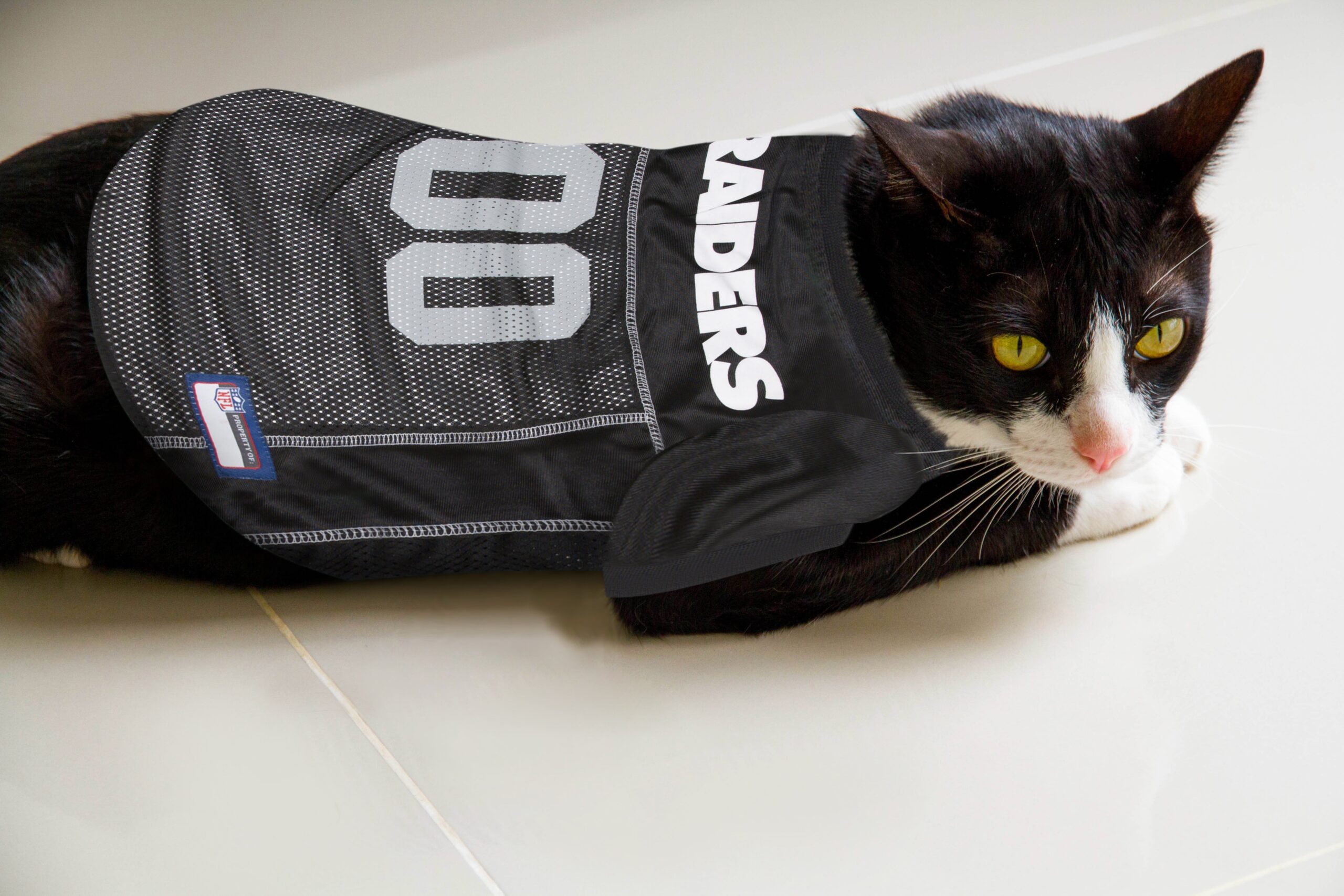 Raiders Pet Mesh Jersey