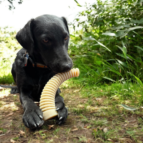 SodaPup Flufflehorn Dental Antler Indestructible Nylon Dog Chew Toy XL | USA Made