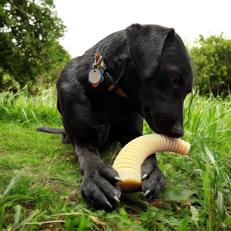 SodaPup Flufflehorn Dental Antler Indestructible Nylon Dog Chew Toy XL | USA Made